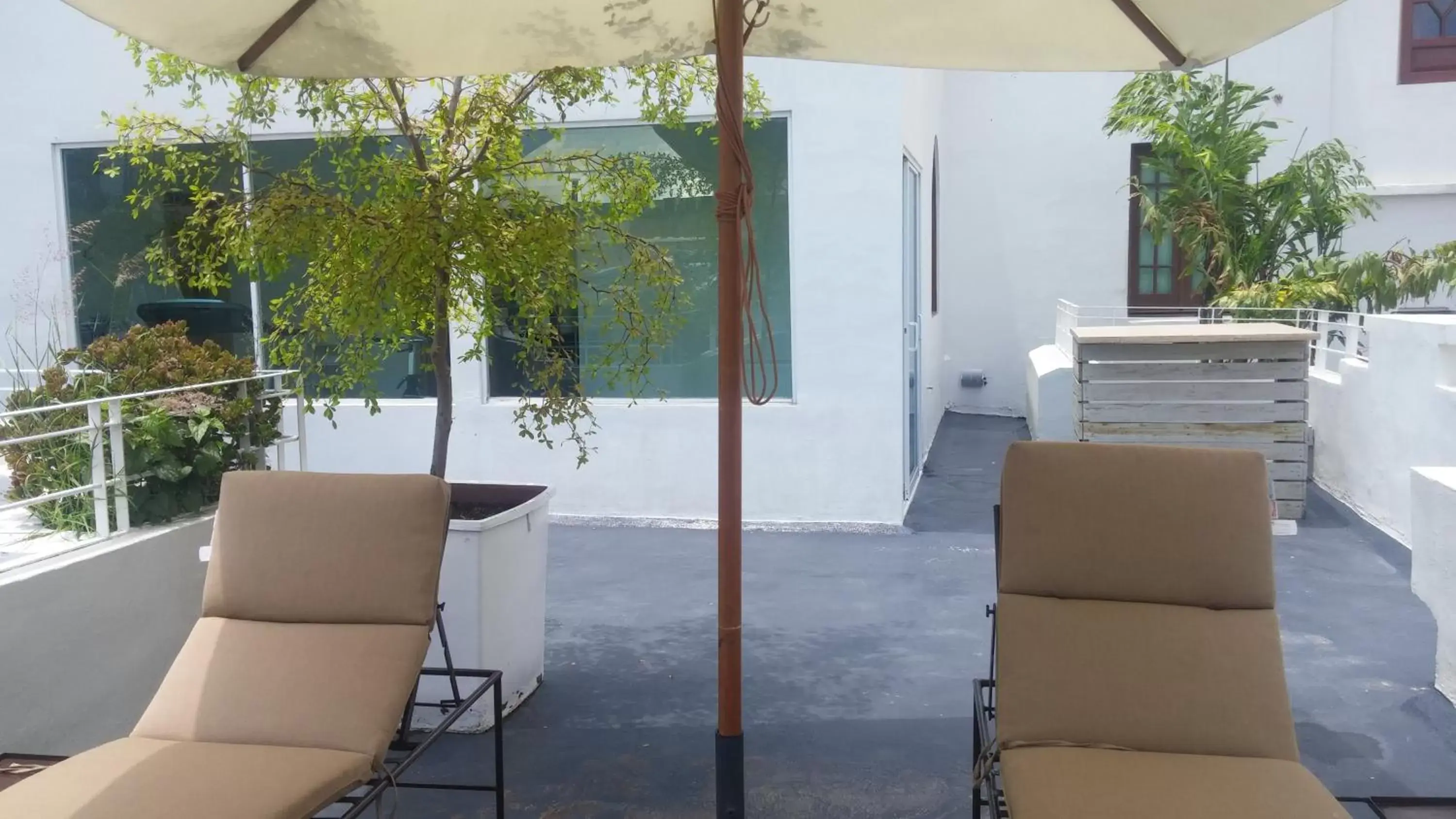 BBQ facilities in Casa Monraz Hotel Boutique