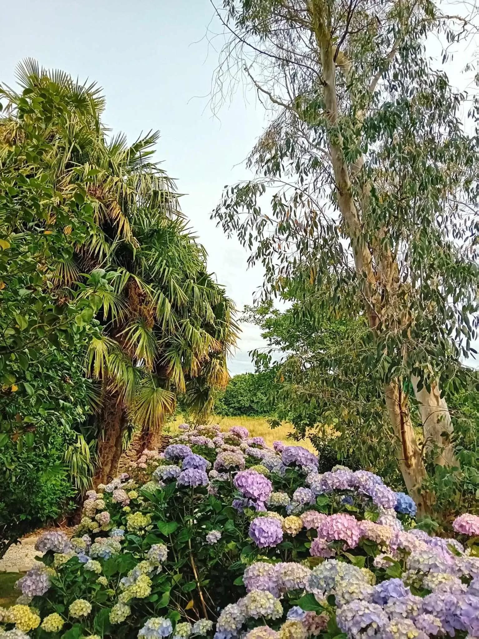 Garden in Le Manoir de Kérofil ** Gîte et chambres d'hôtes **