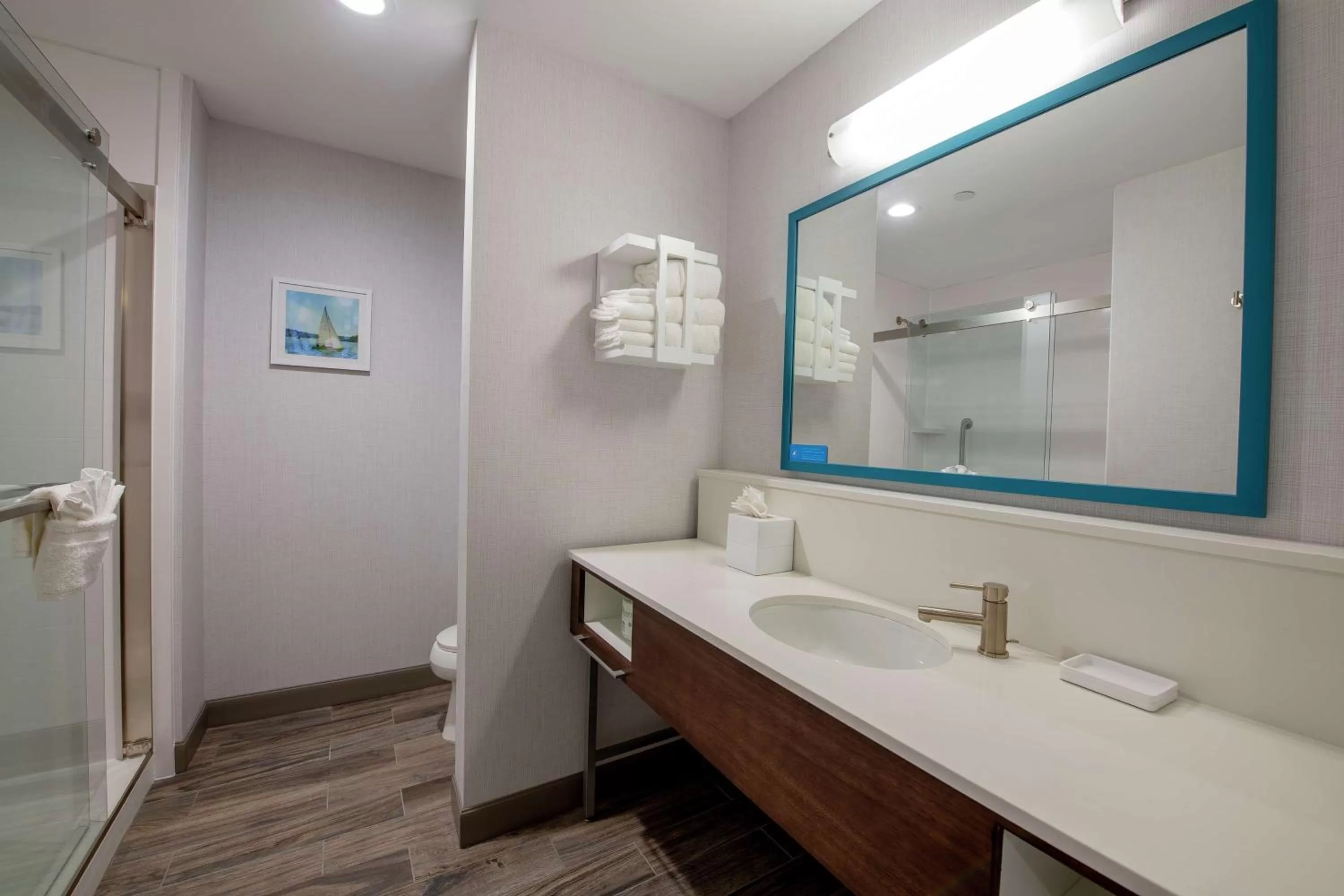 Bathroom in Hampton Inn & Suites Duncanville Dallas, Tx