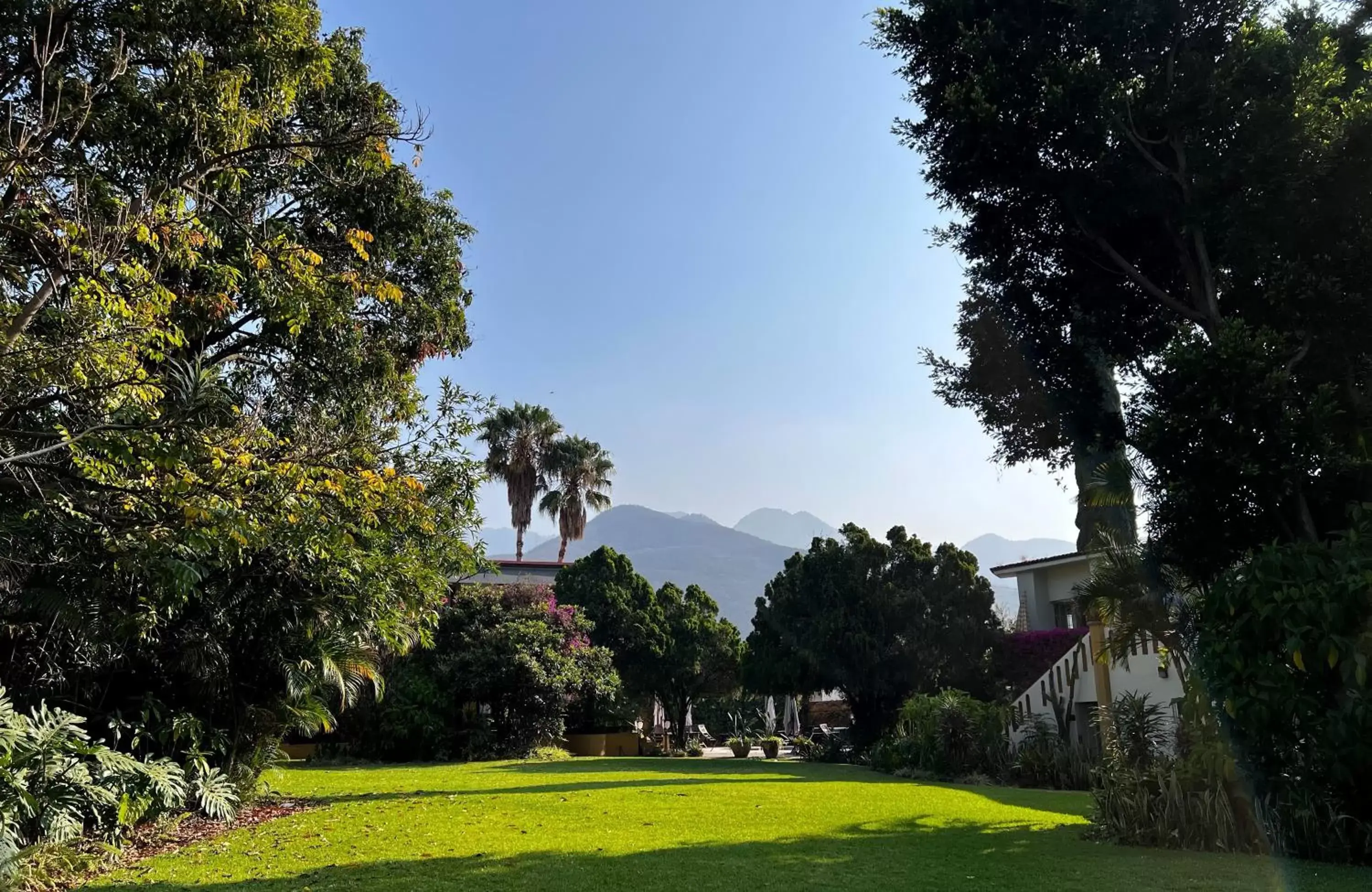 Garden view, Garden in Hotel Hacienda Los Laureles