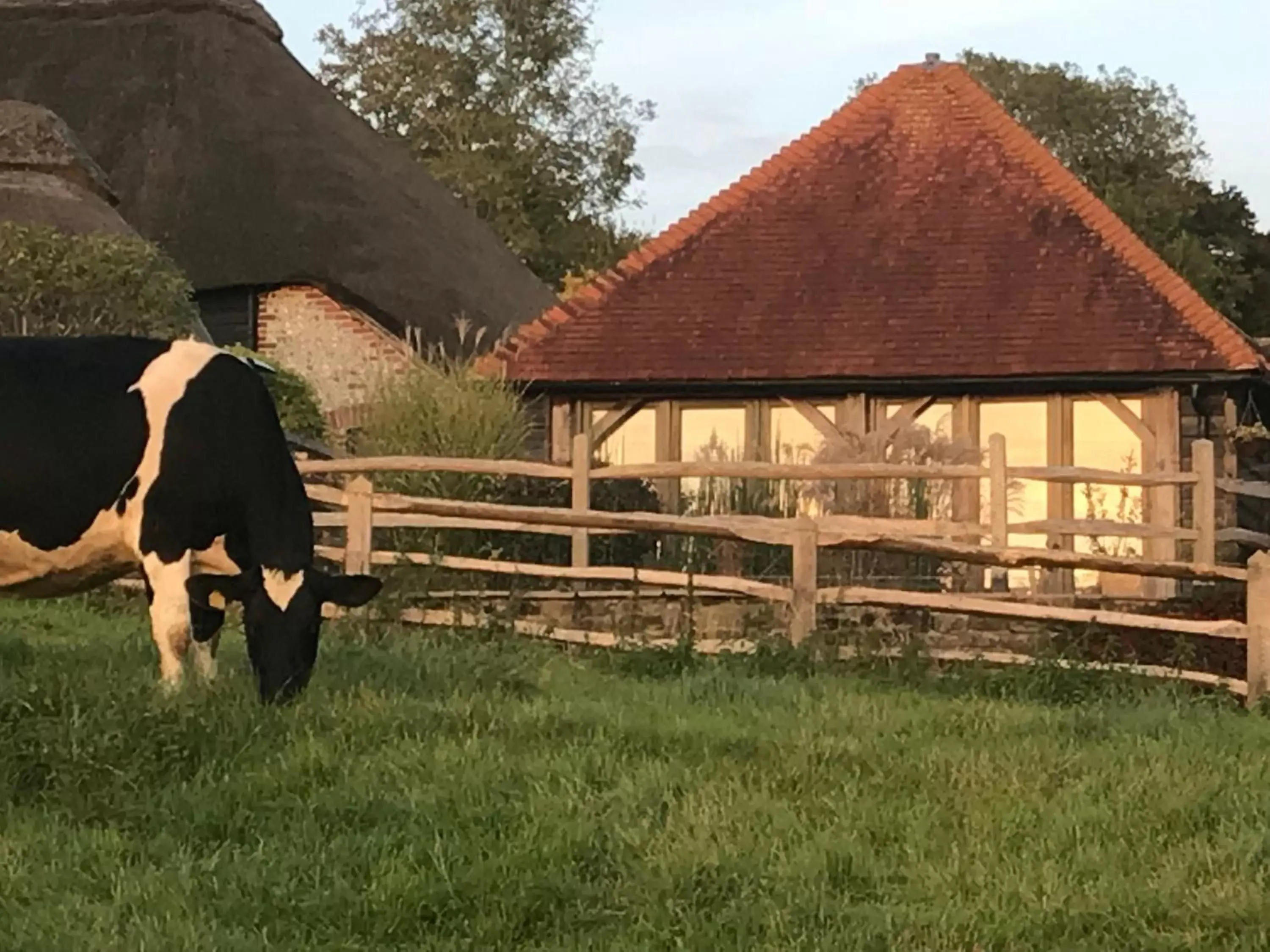 Animals in The Cow Hide