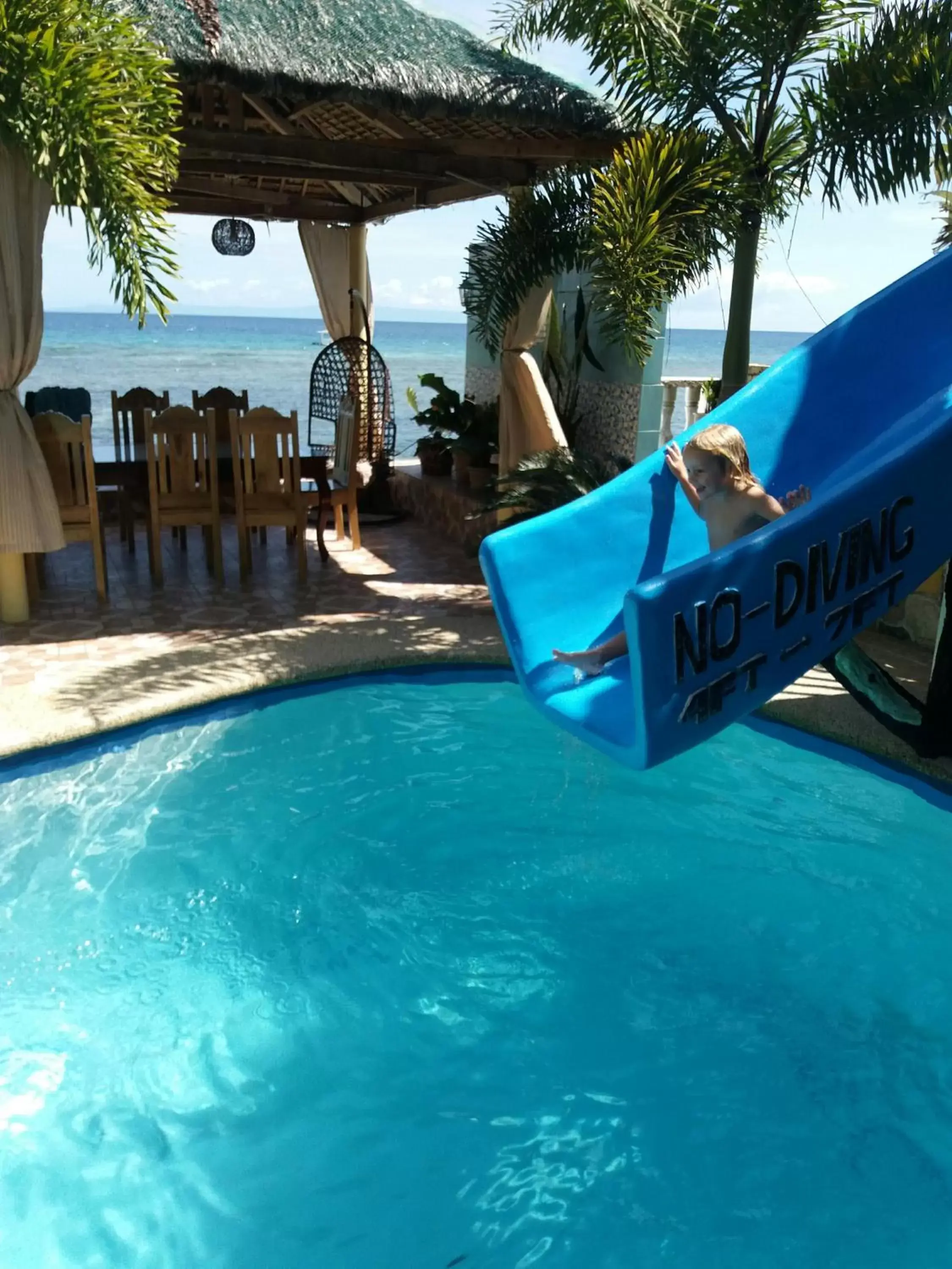 Swimming Pool in Sascha's Resort Oslob