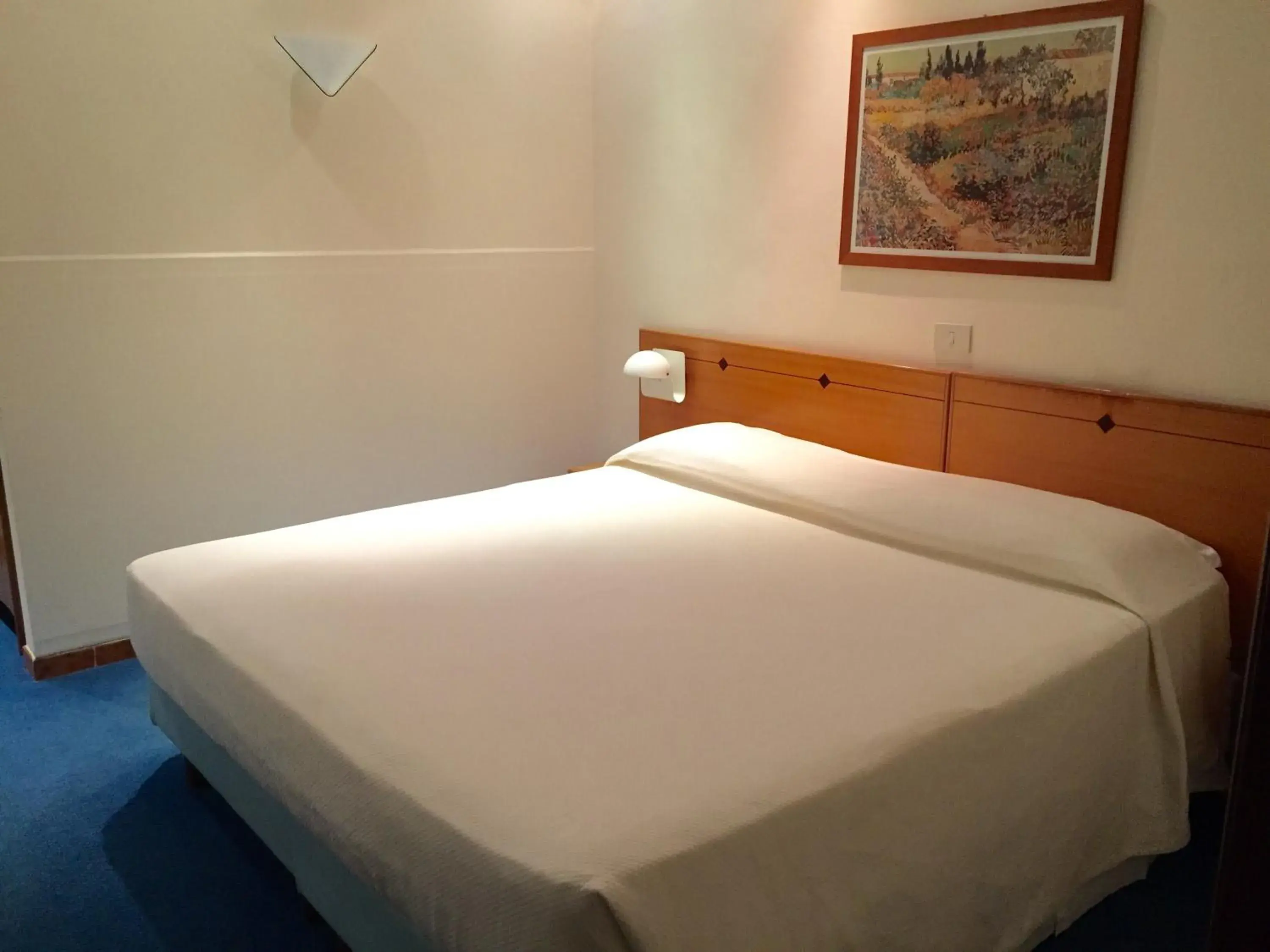 Bed in Hotel Barsotti