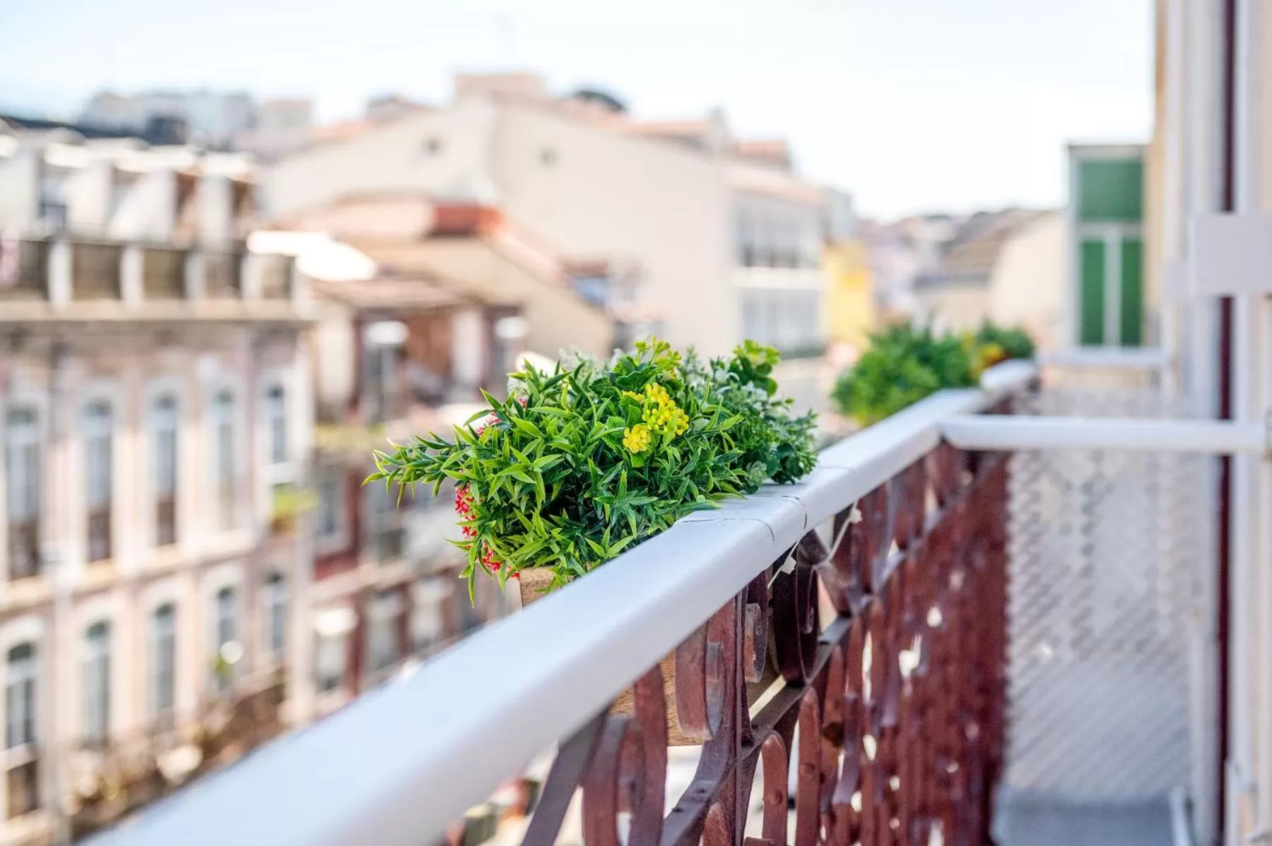 Balcony/Terrace in Lisbon Wine House - Rooms & Suites
