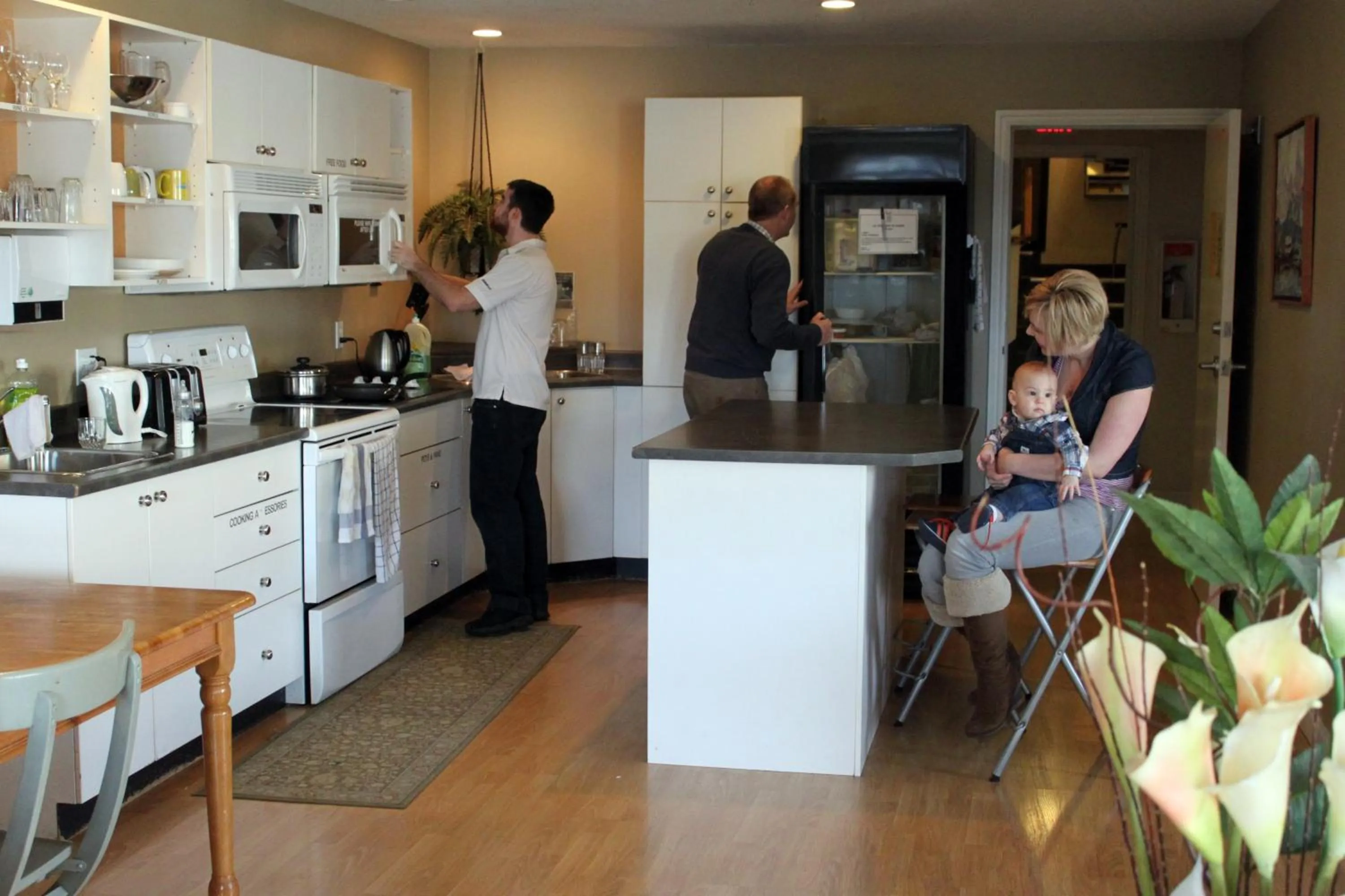 Kitchen or kitchenette in Painted Turtle Guesthouse