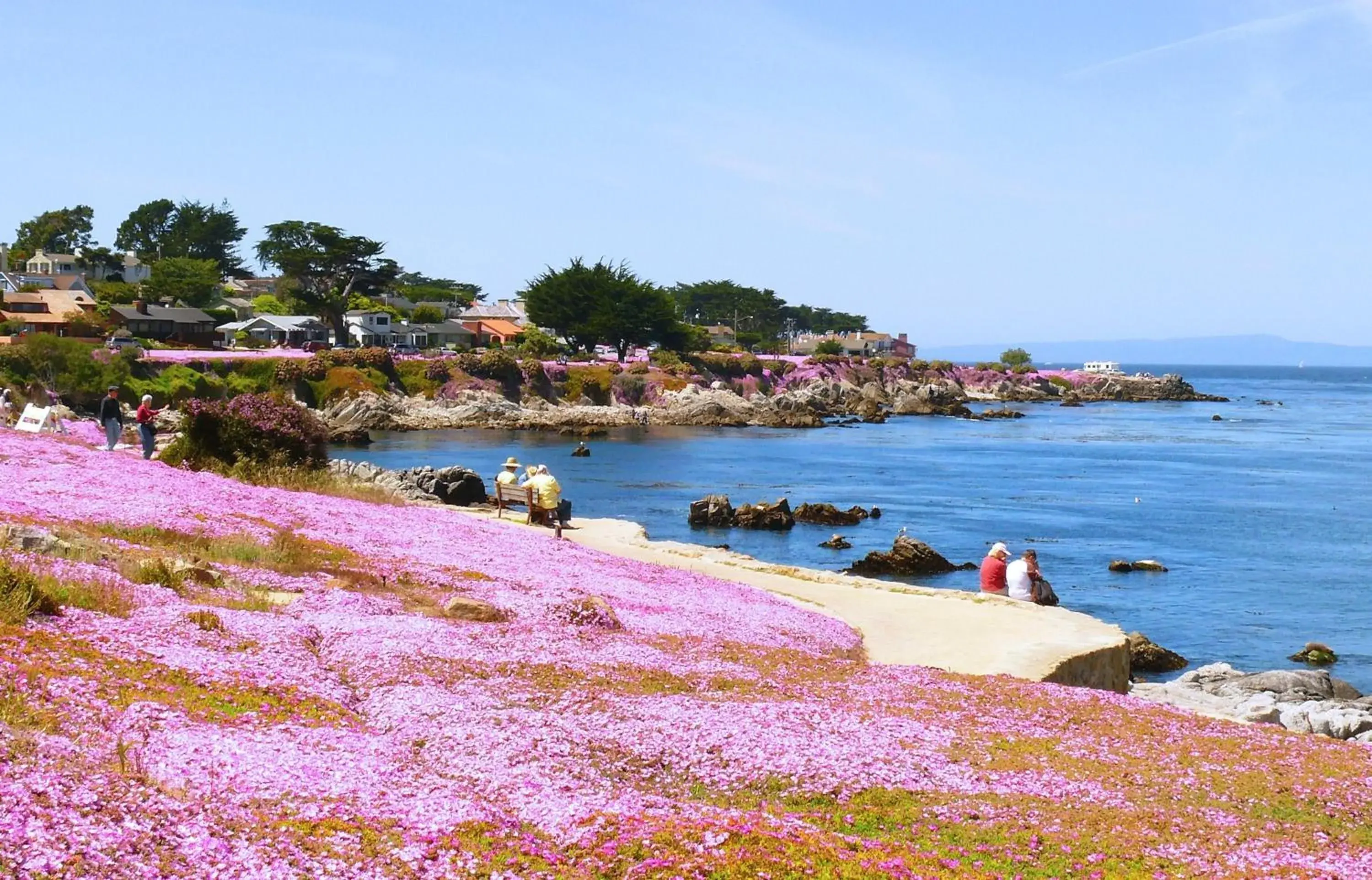 Neighbourhood, Beach in Monterey Peninsula Inn