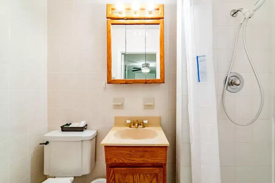 Bathroom in The Palmetto Inn