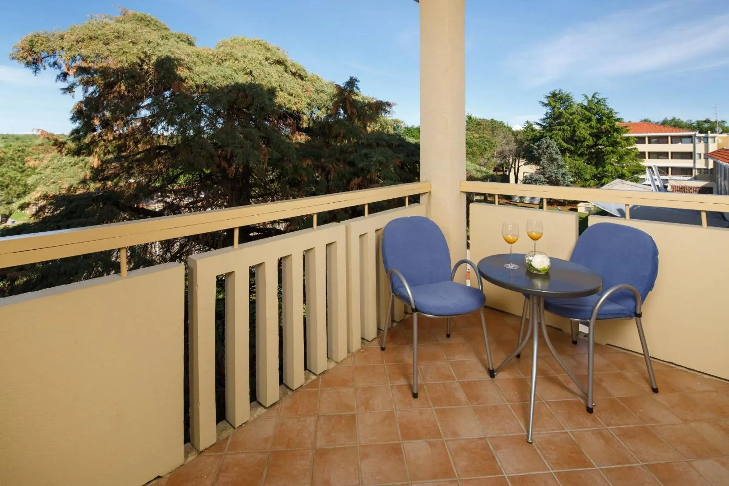 Balcony/Terrace in Hotel Aurora Plava Laguna