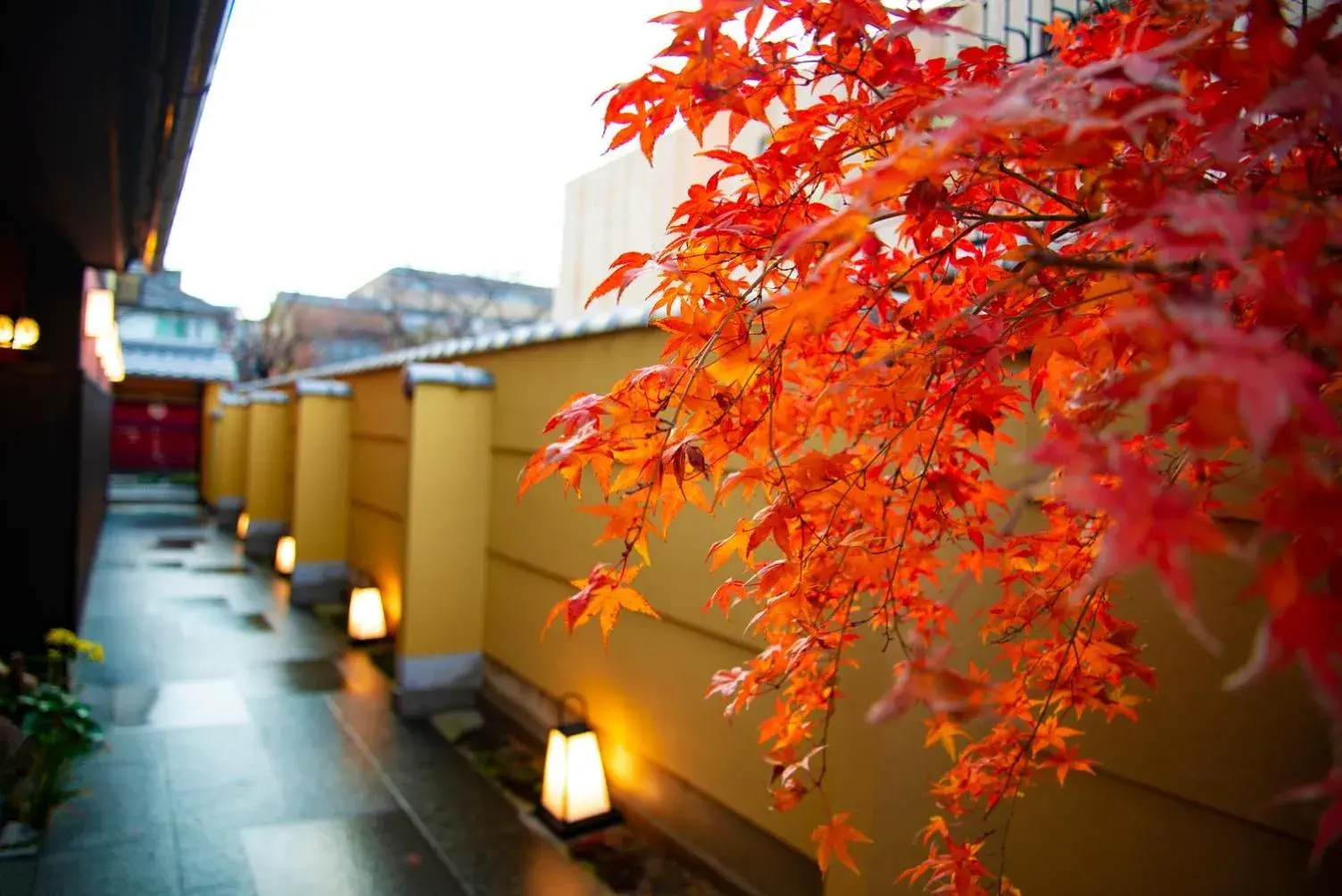 Property building in Kyoto Takasegawa Bettei