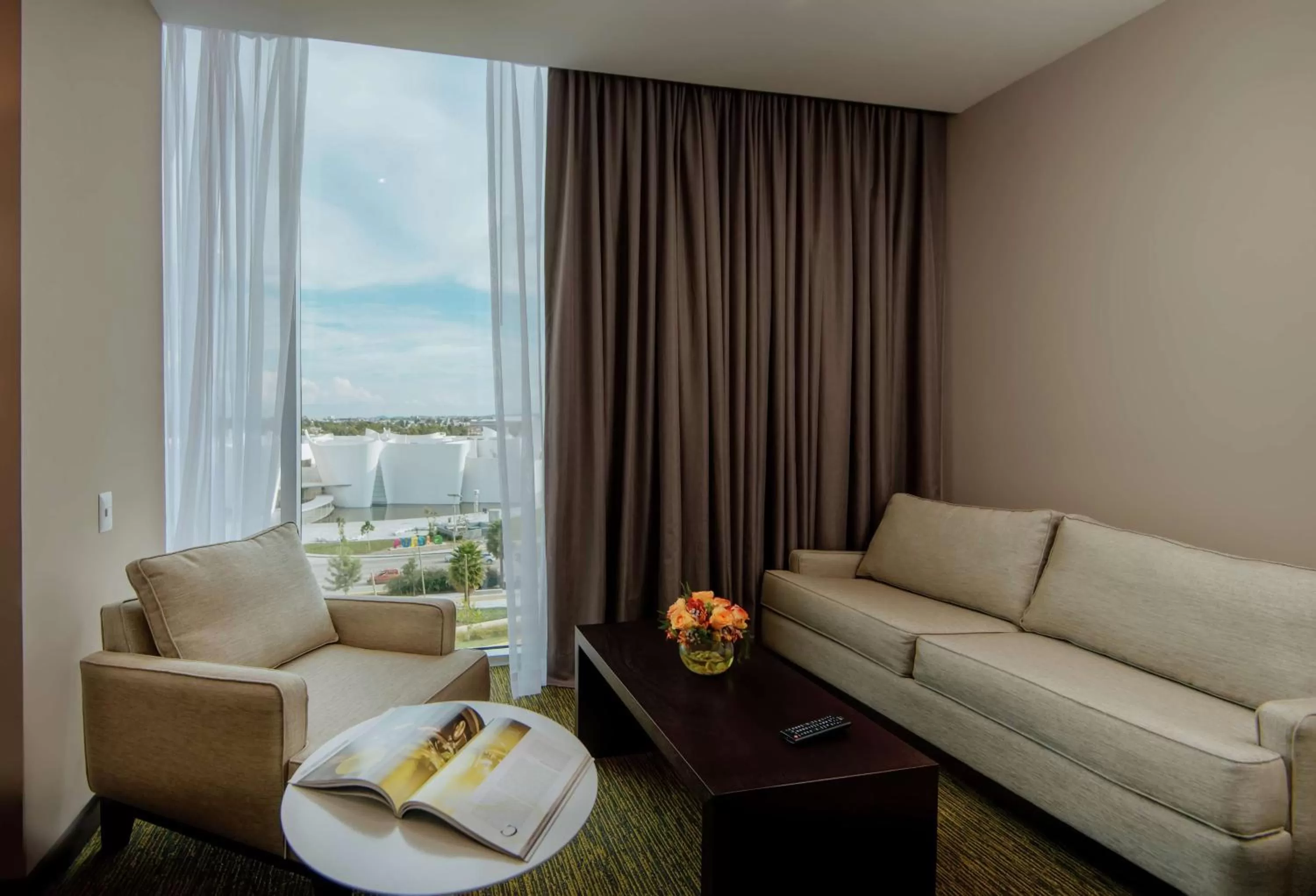 View (from property/room) in Hilton Garden Inn Puebla Angelopolis