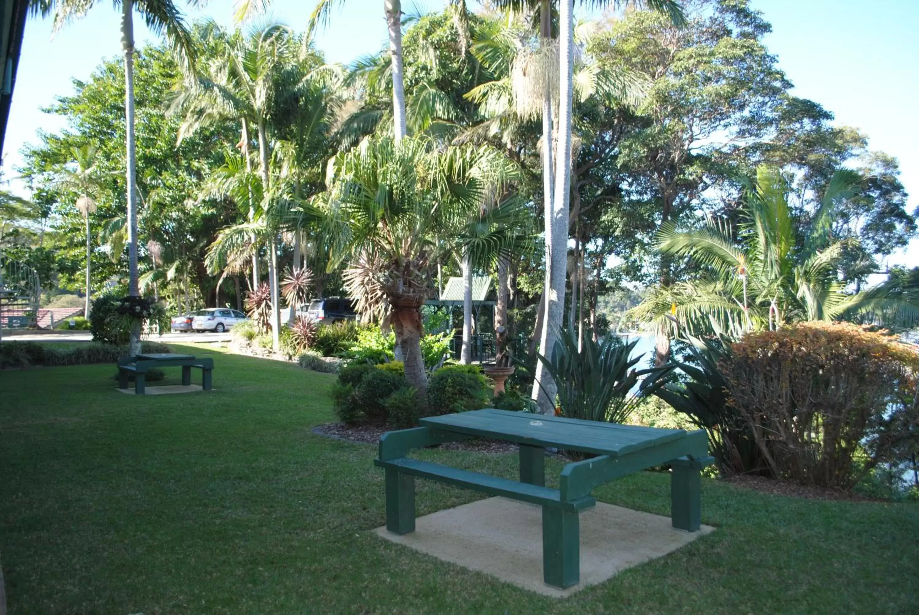 Garden in Motel Miramar