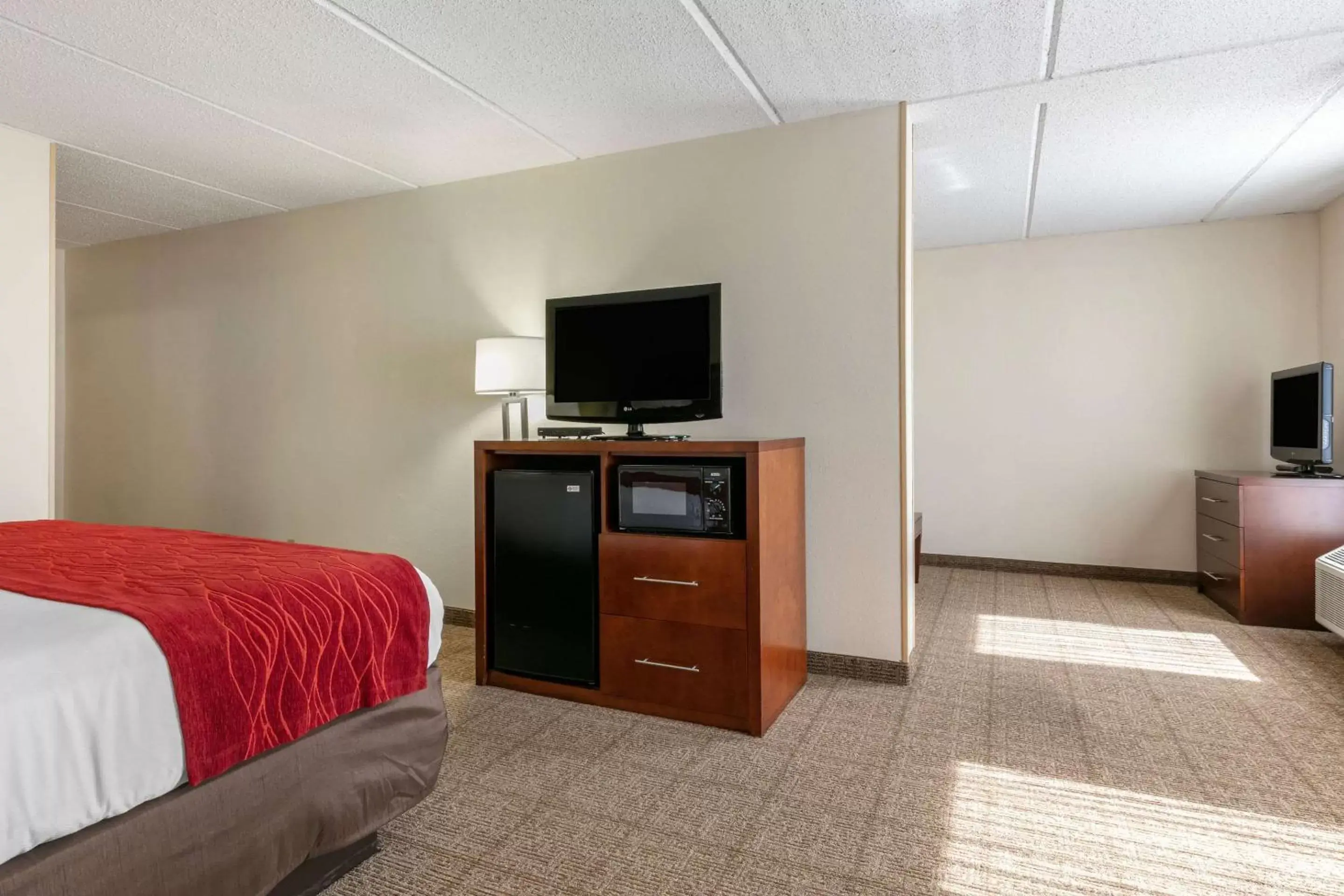 King Suite with Sofa Bed - Non-Smoking in Comfort Inn Downtown Chattanooga