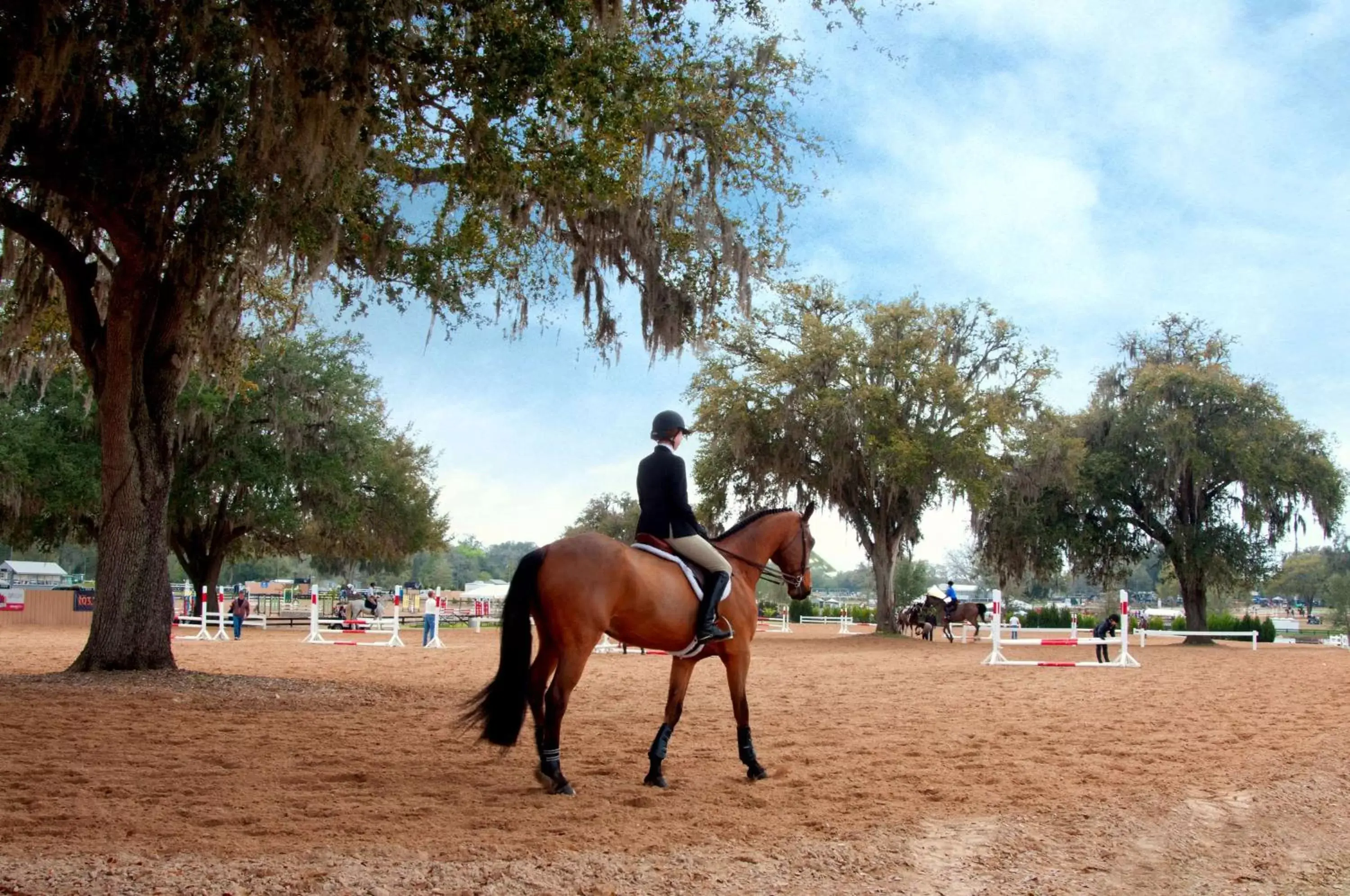 People, Horseback Riding in Howard Johnson by Wyndham Ocala FL