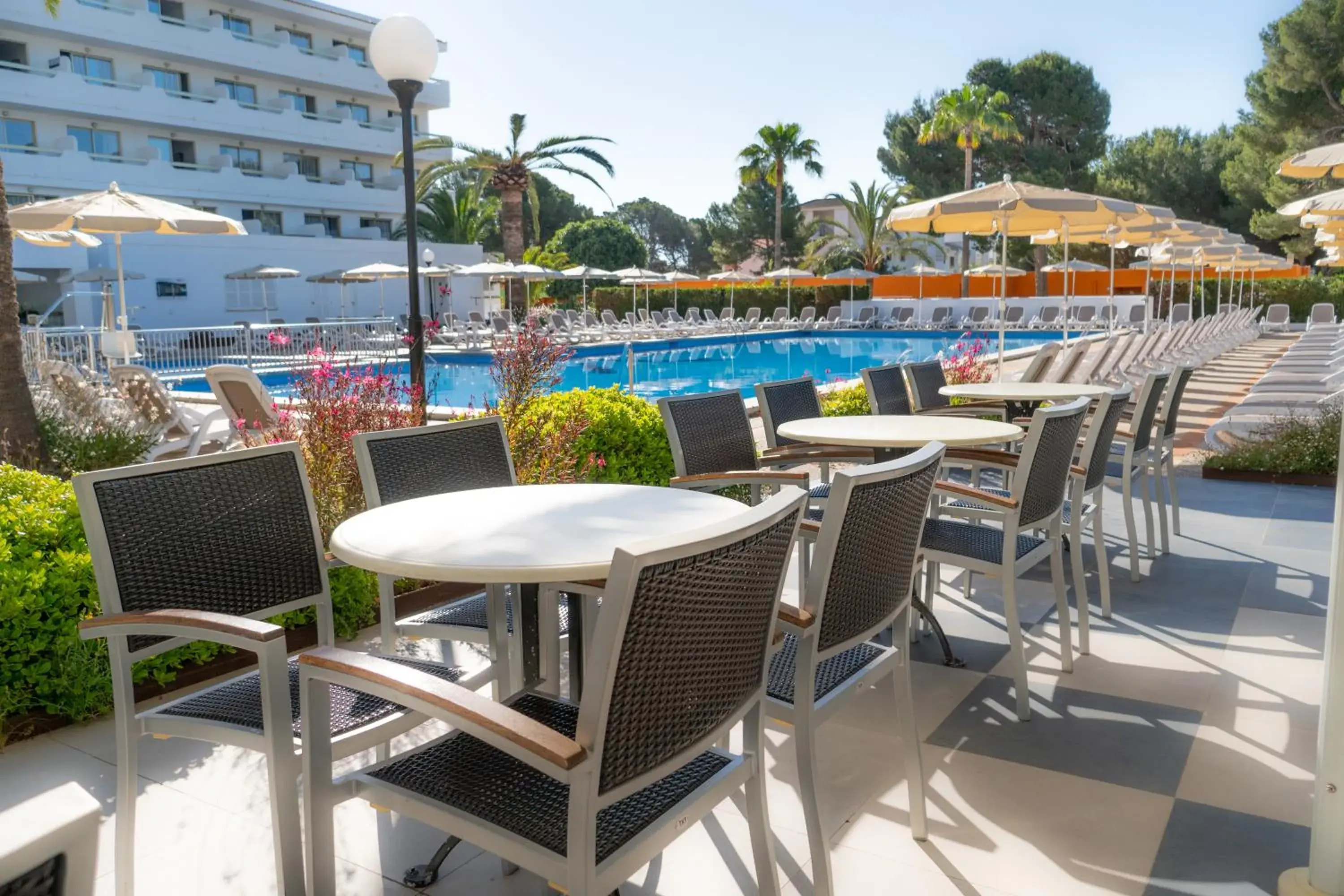 Balcony/Terrace, Swimming Pool in Hotel Millor Sol