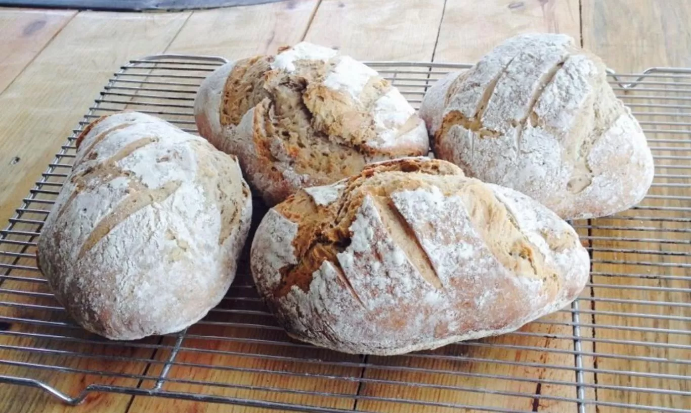 Food and drinks, Food in Harmony Glamping Boutique Hotel and Yoga