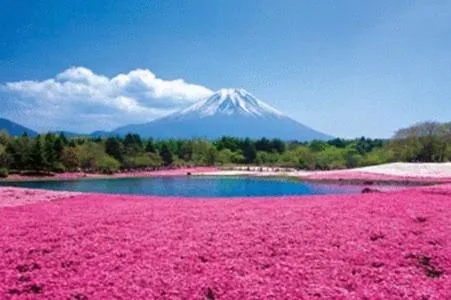 Area and facilities in Guesthouse Sakuya