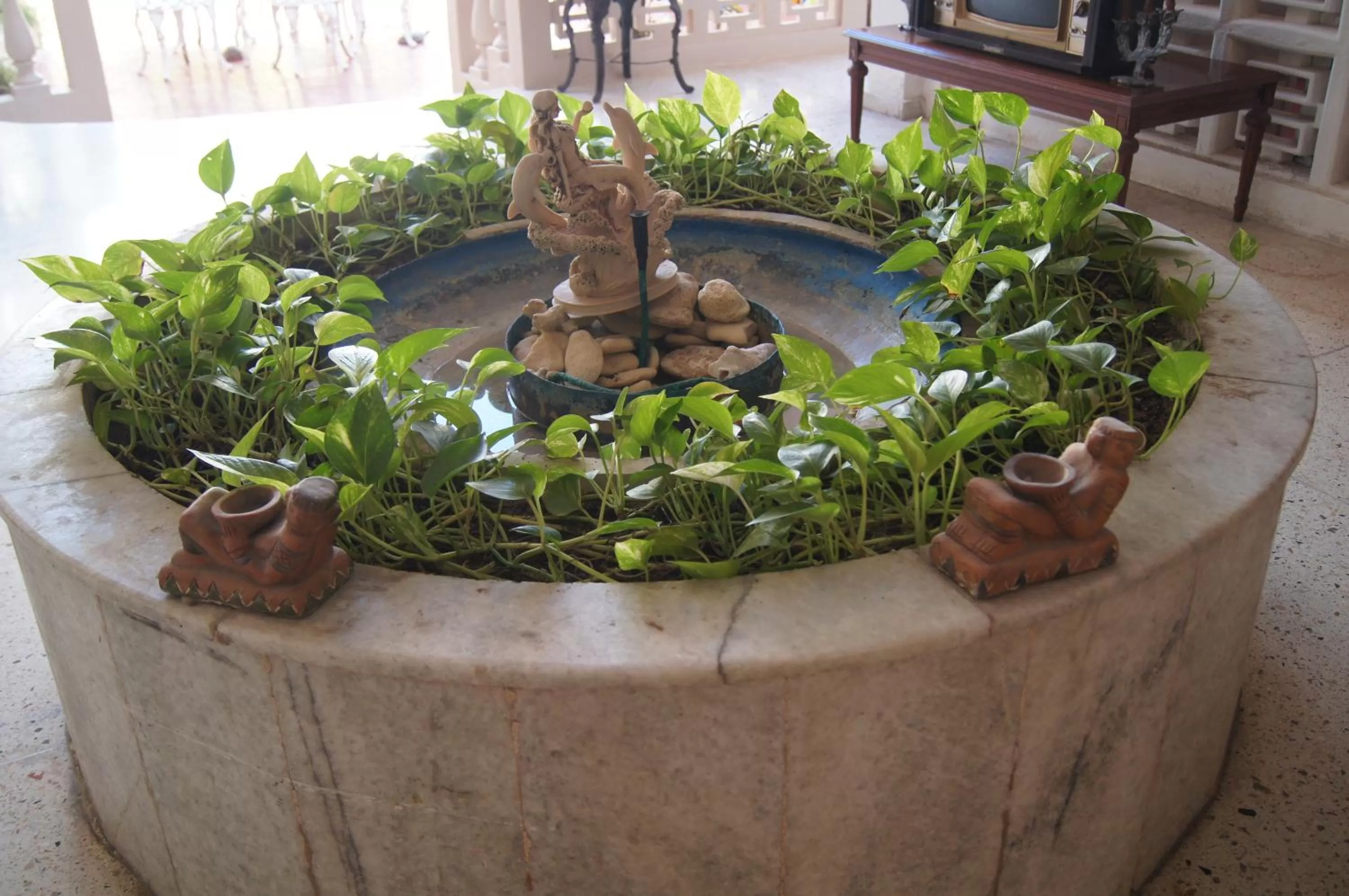 Patio in Hotel Mary Carmen