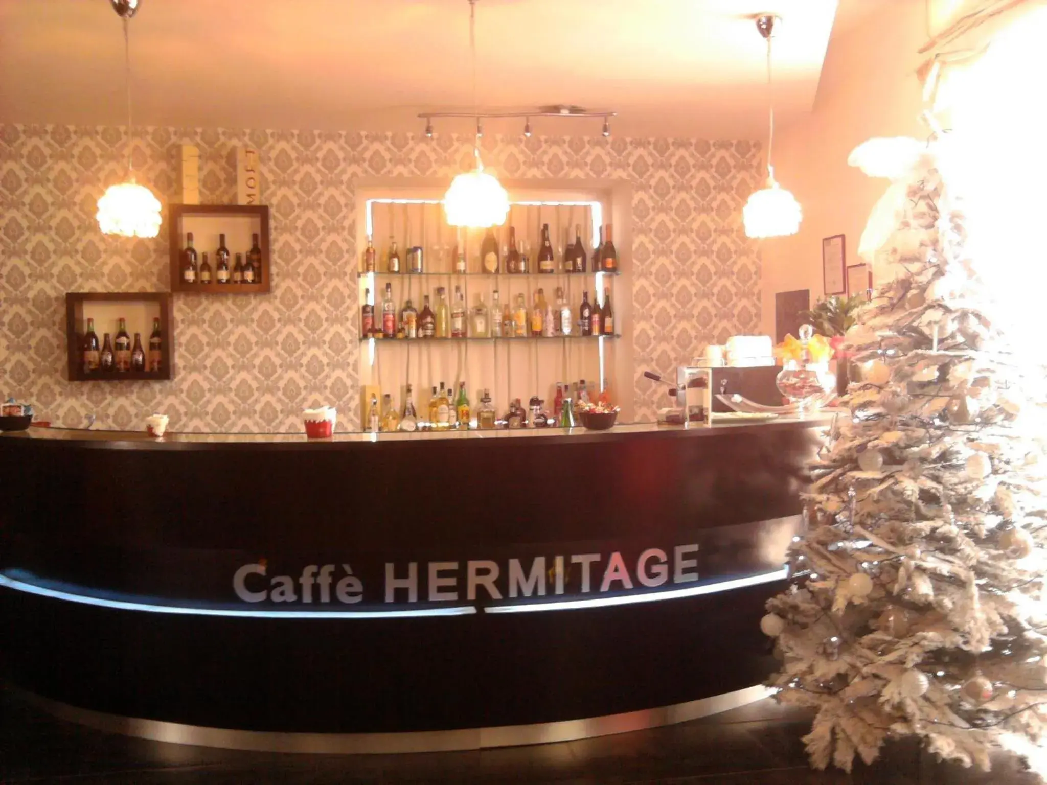 Lounge or bar in Hotel Hermitage