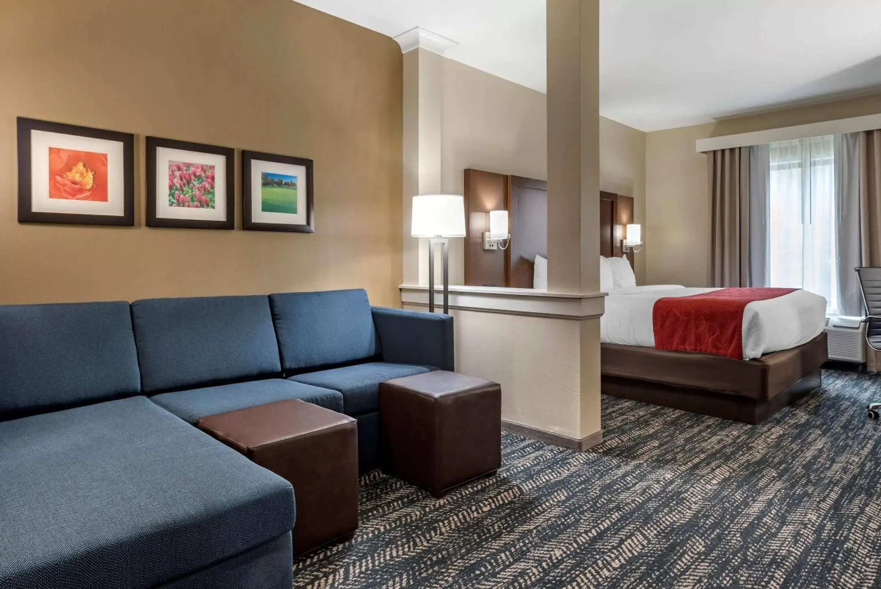 Photo of the whole room in Comfort Inn & Suites Downtown near University