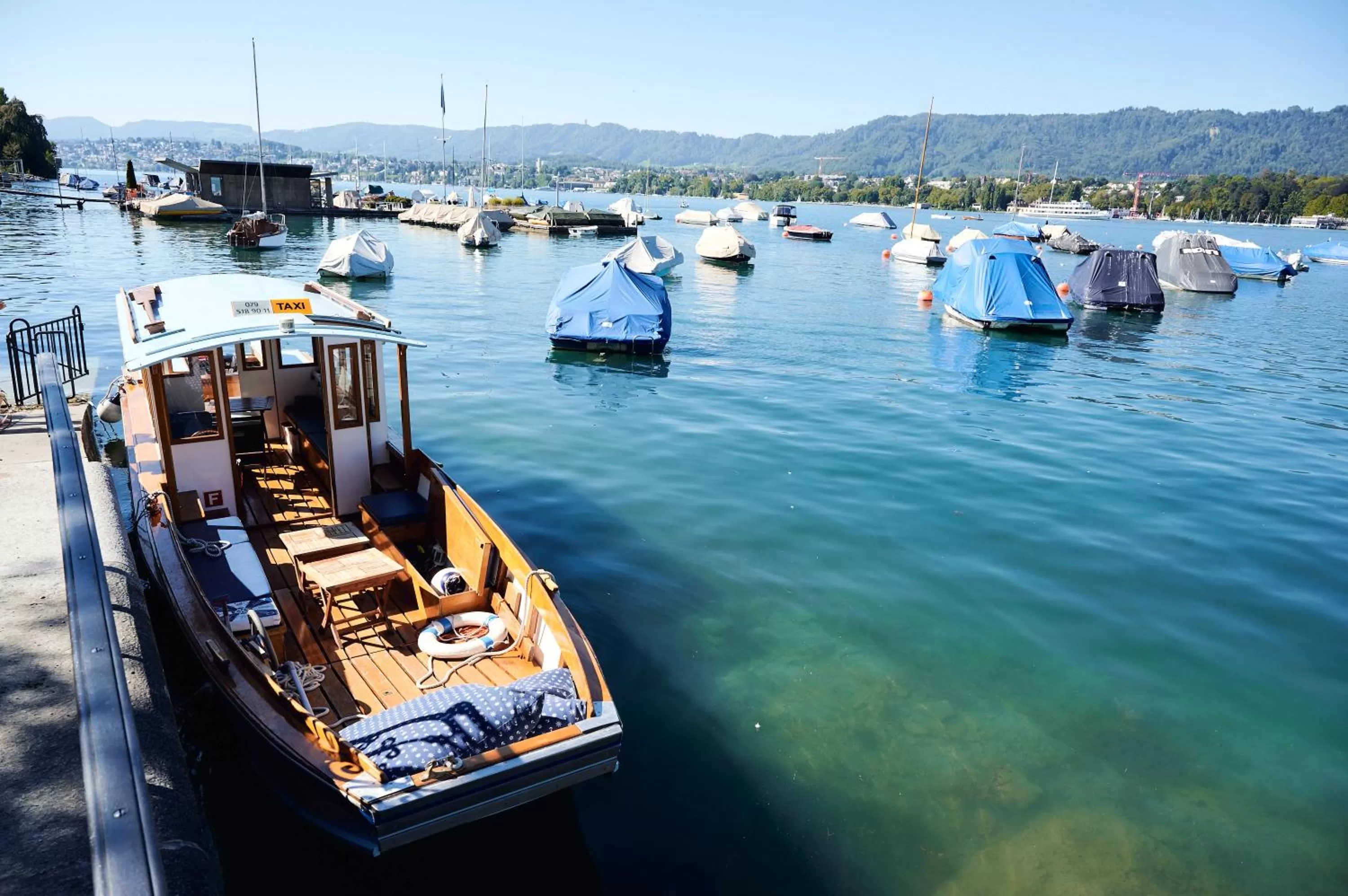 Natural landscape in Hotel Europe