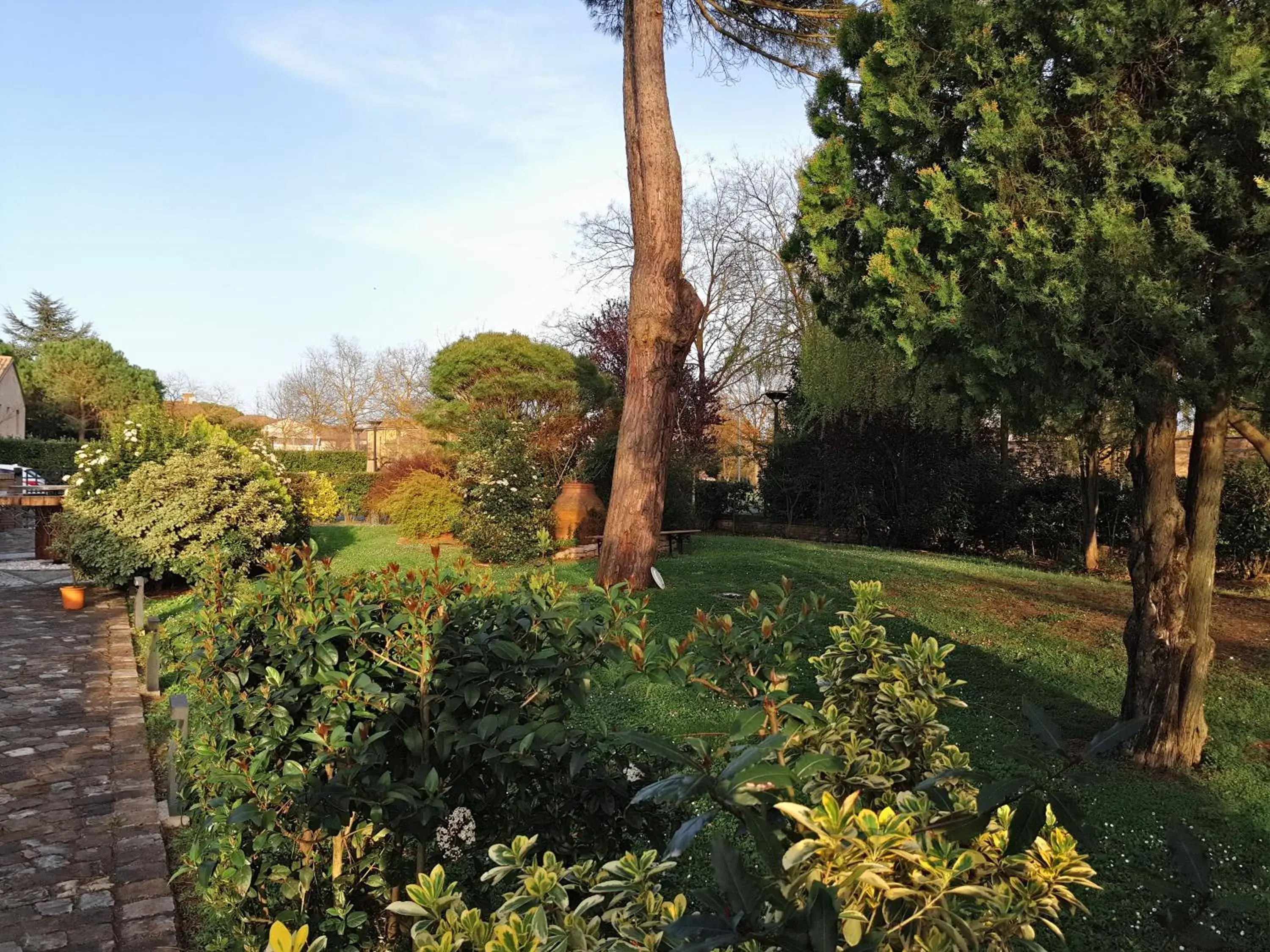 Garden in Hotel Classensis