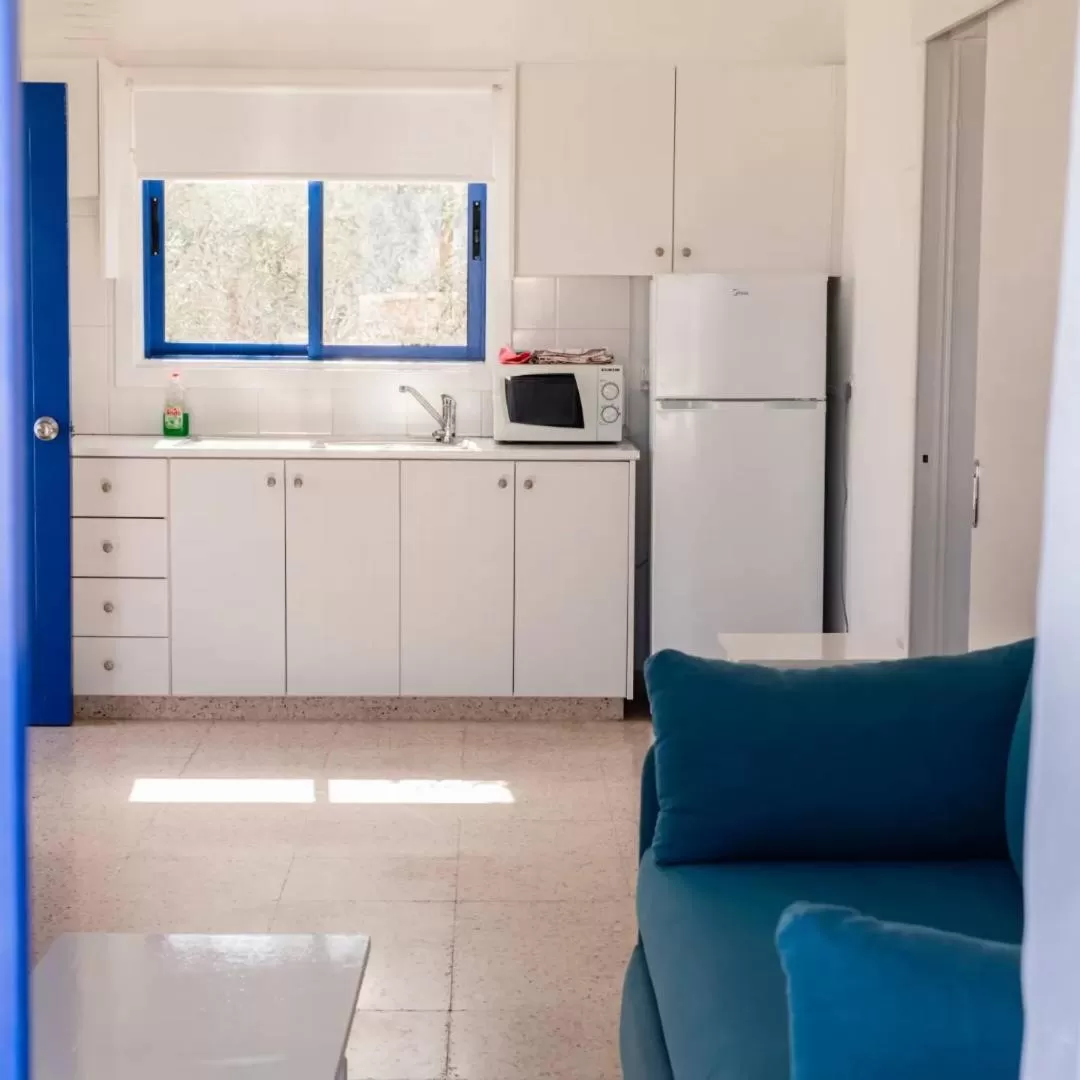 Kitchen or kitchenette in Flokkas Hotel Apartments