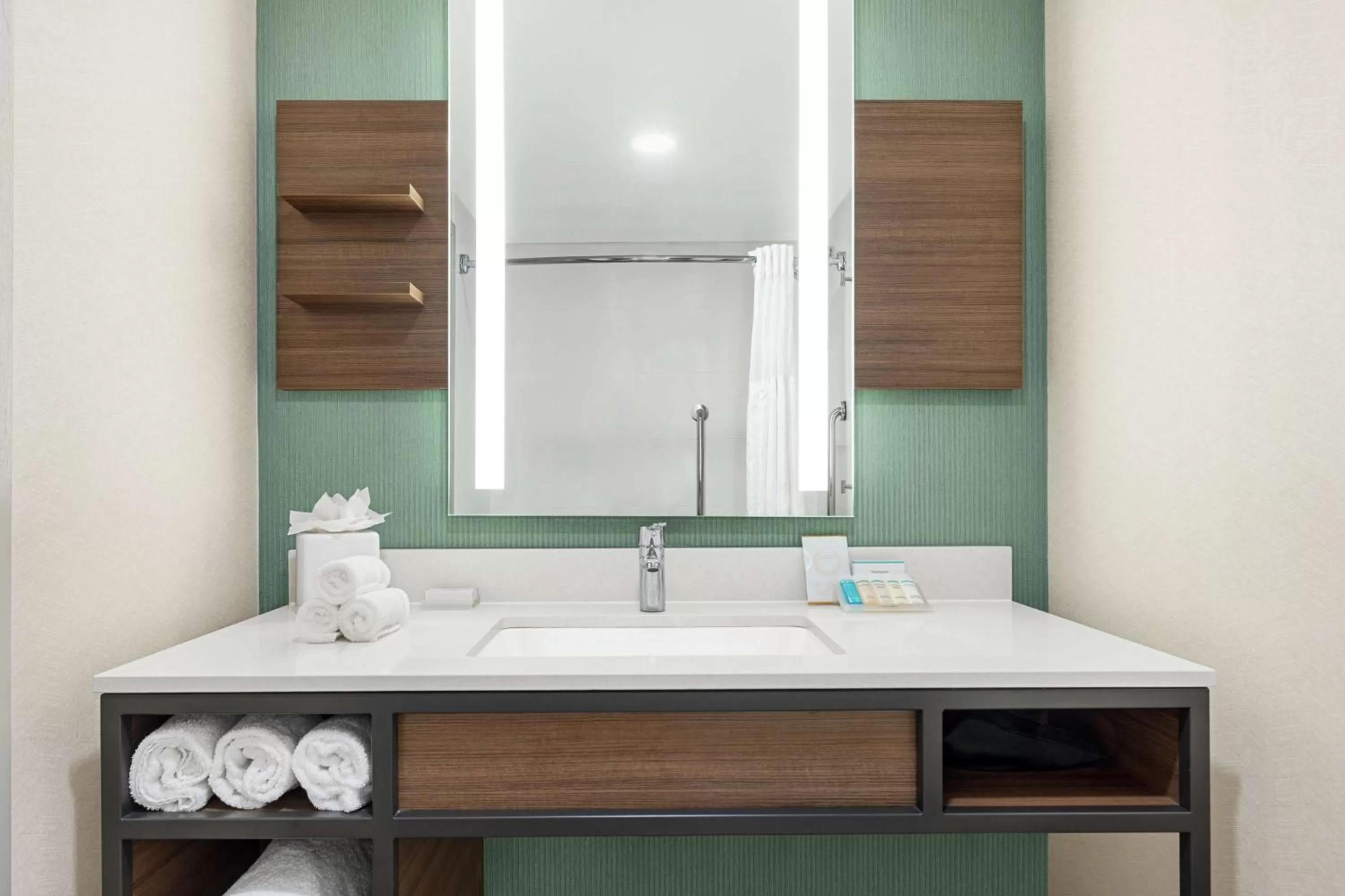 Bathroom in Hilton Garden Inn Allentown Bethlehem Airport