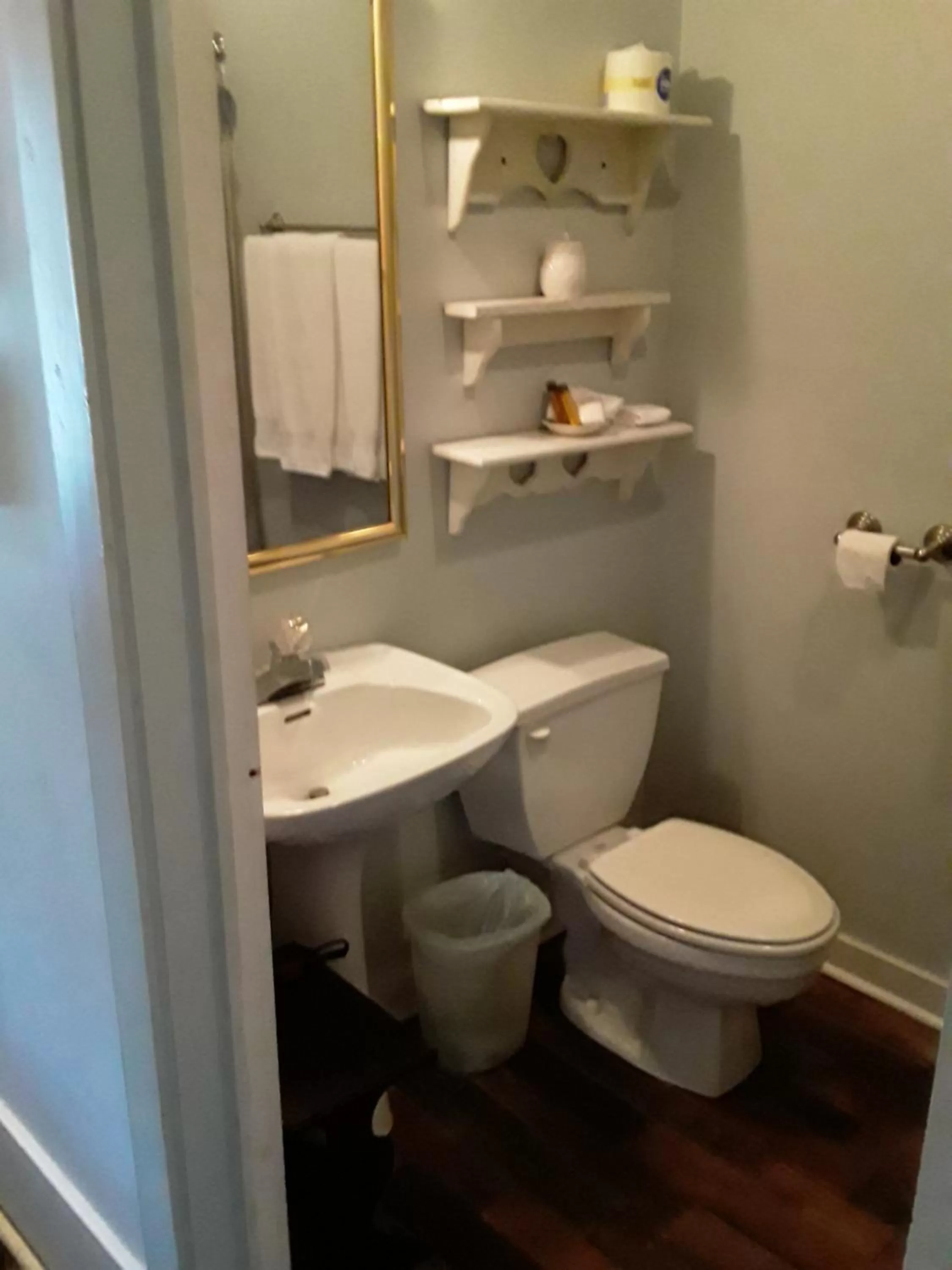 Toilet, Bathroom in Hall Place B&B