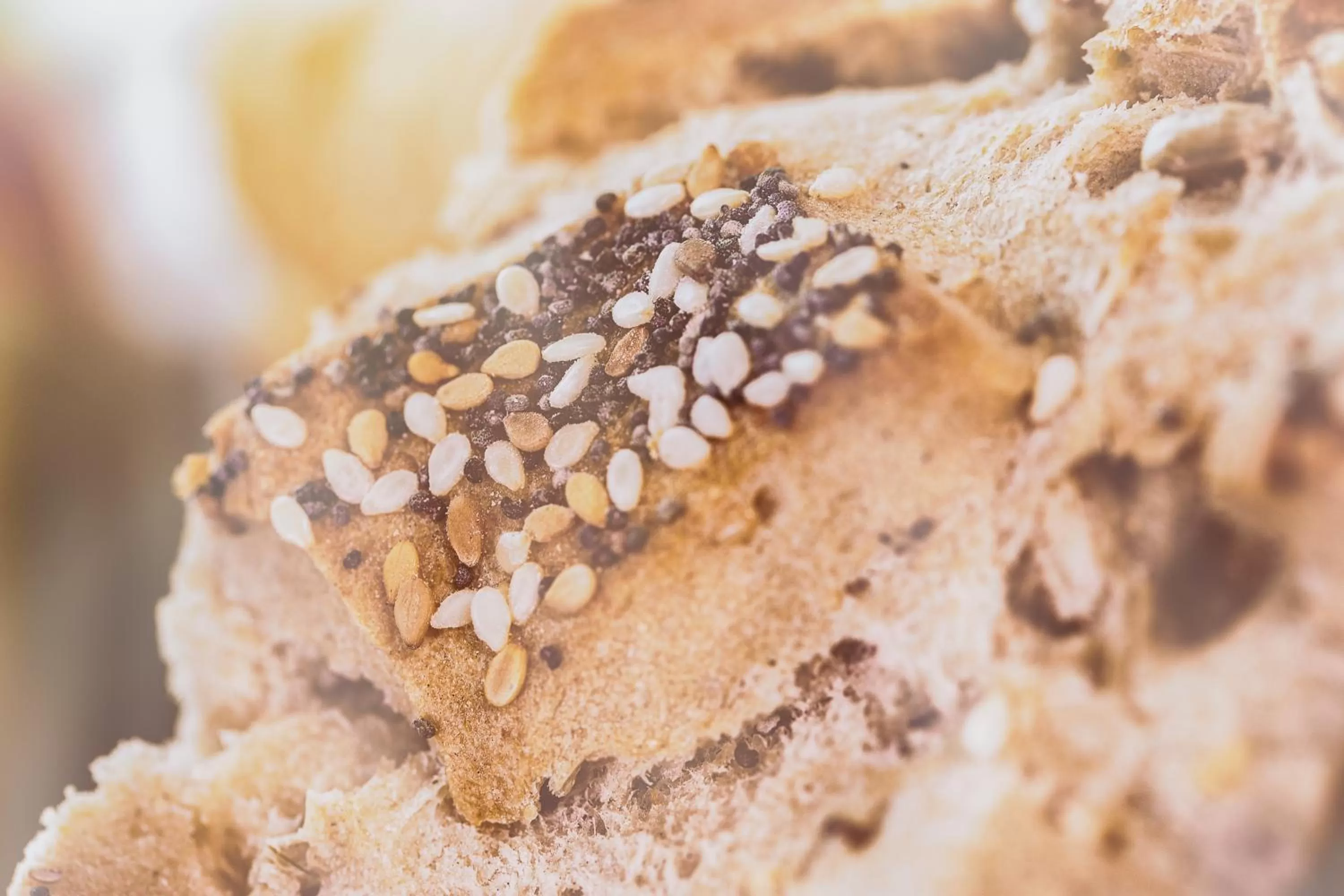 Food close-up in Best Western Plus Richelieu