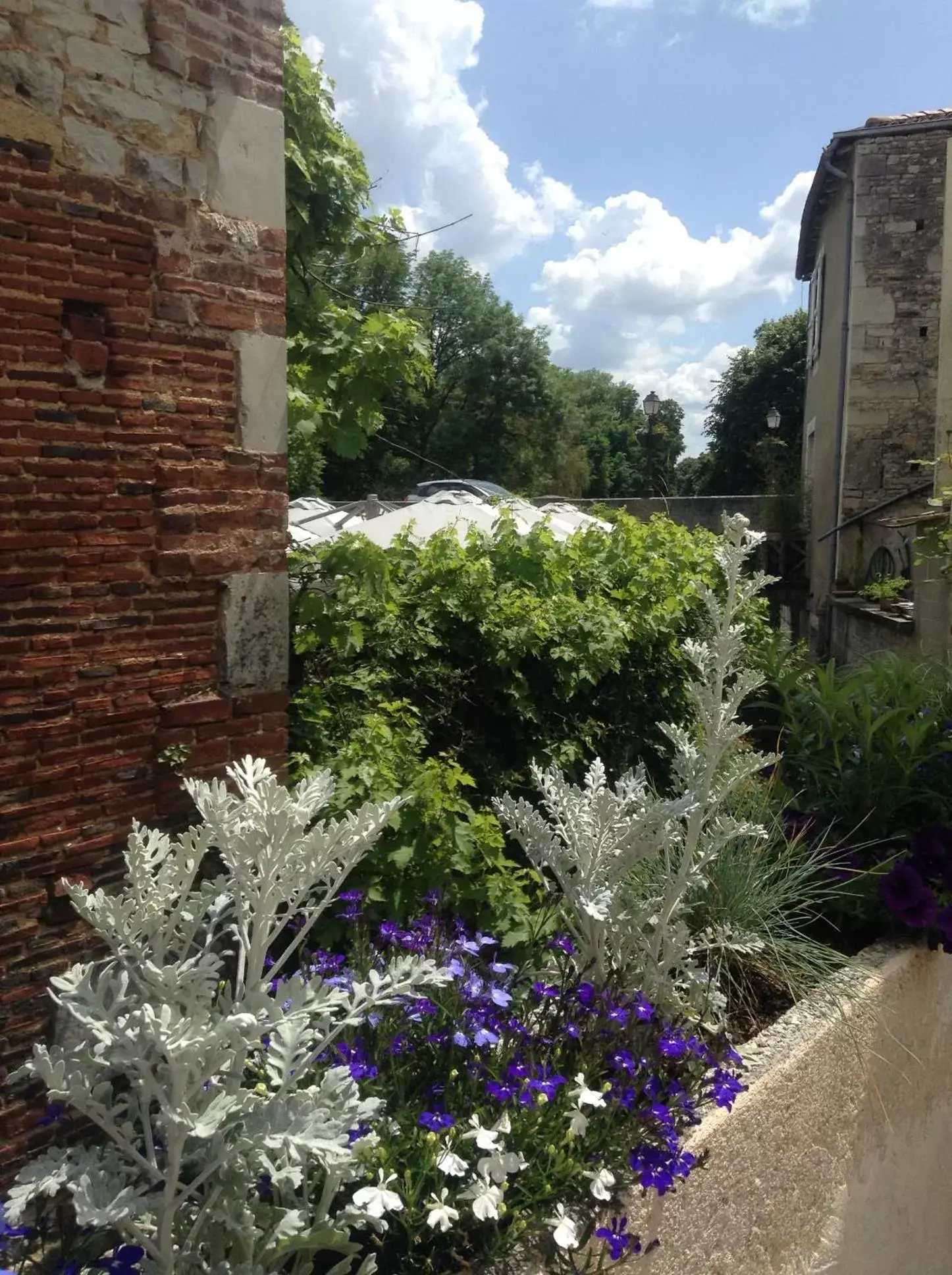 Garden view in Les Halles Chambre D'hôtes