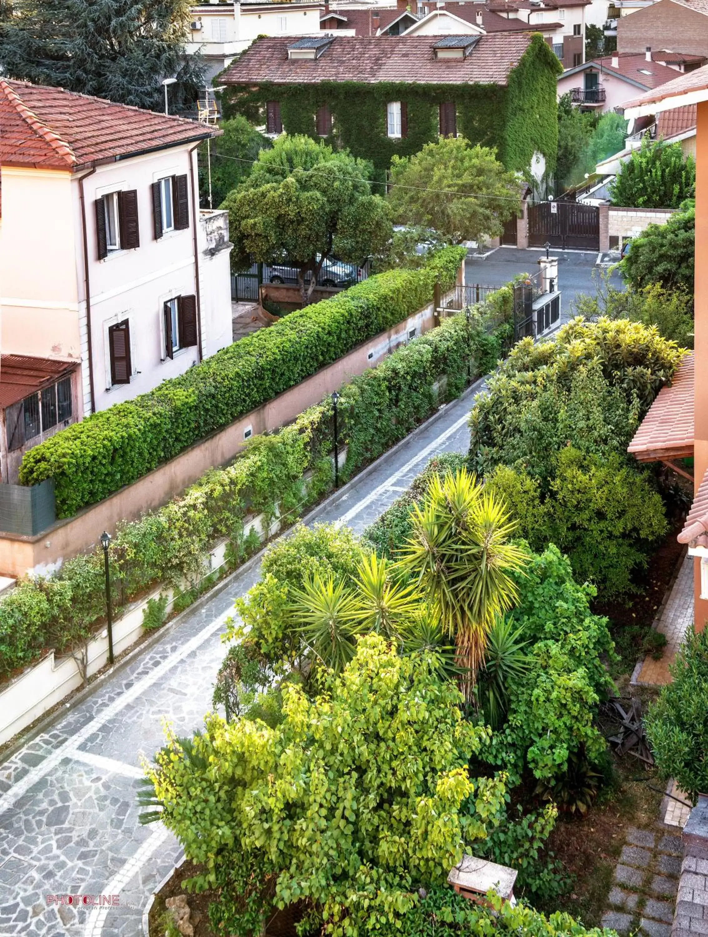 Garden view in Hotel Villa Giulia