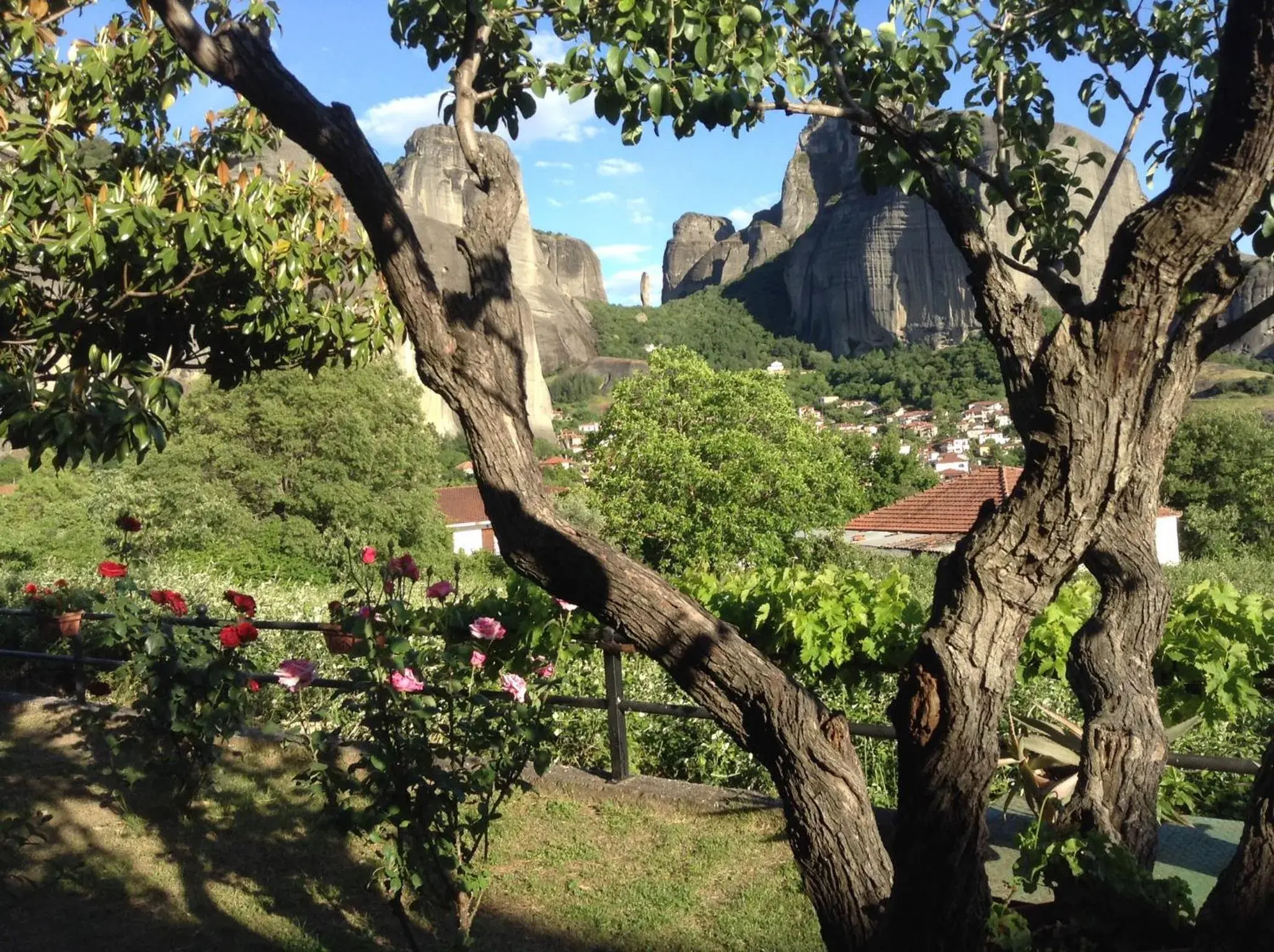 Garden view in Hotel Doupiani House