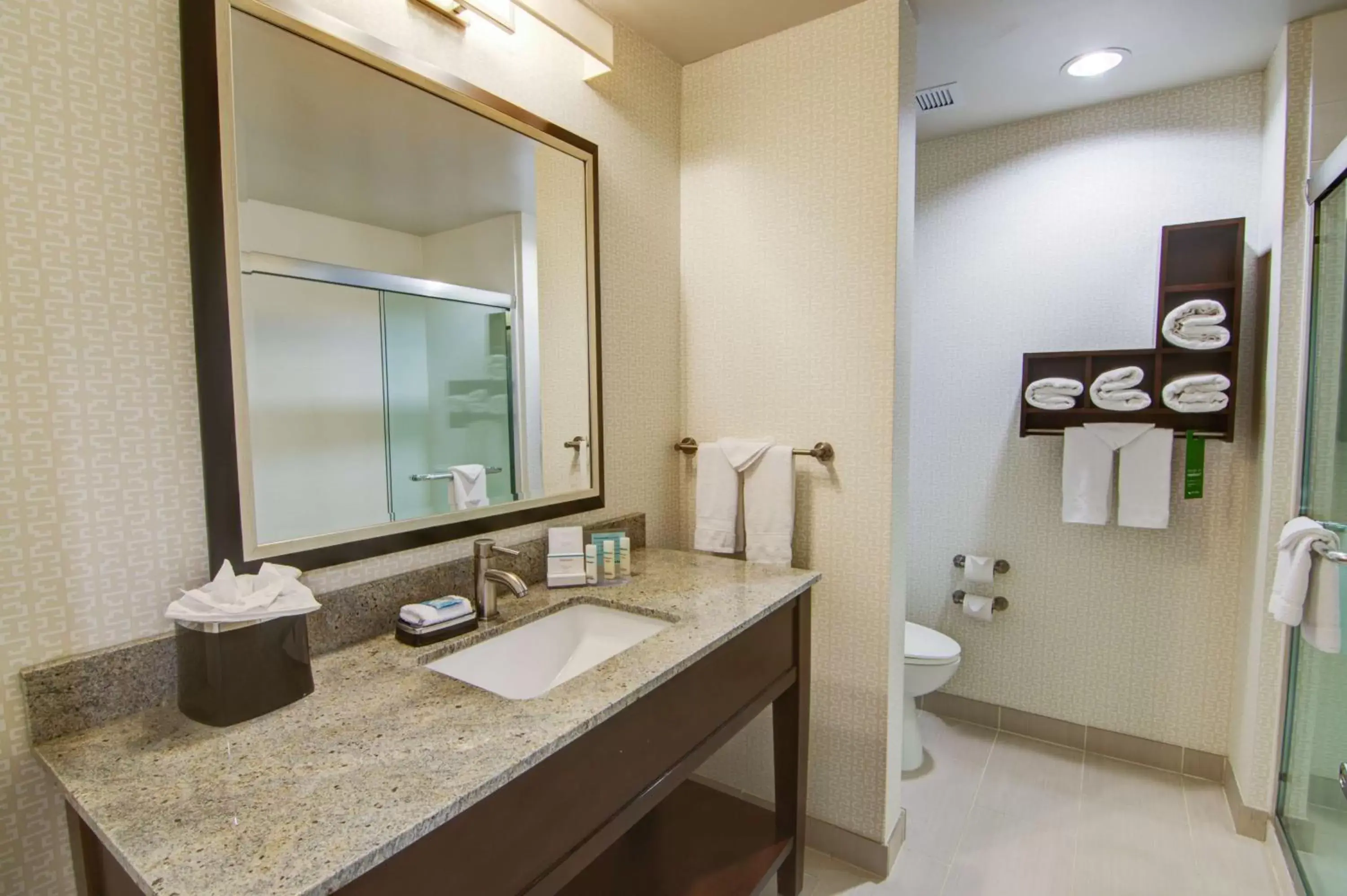 Bathroom in Hampton Inn and Suites Trophy Club - Fort Worth North