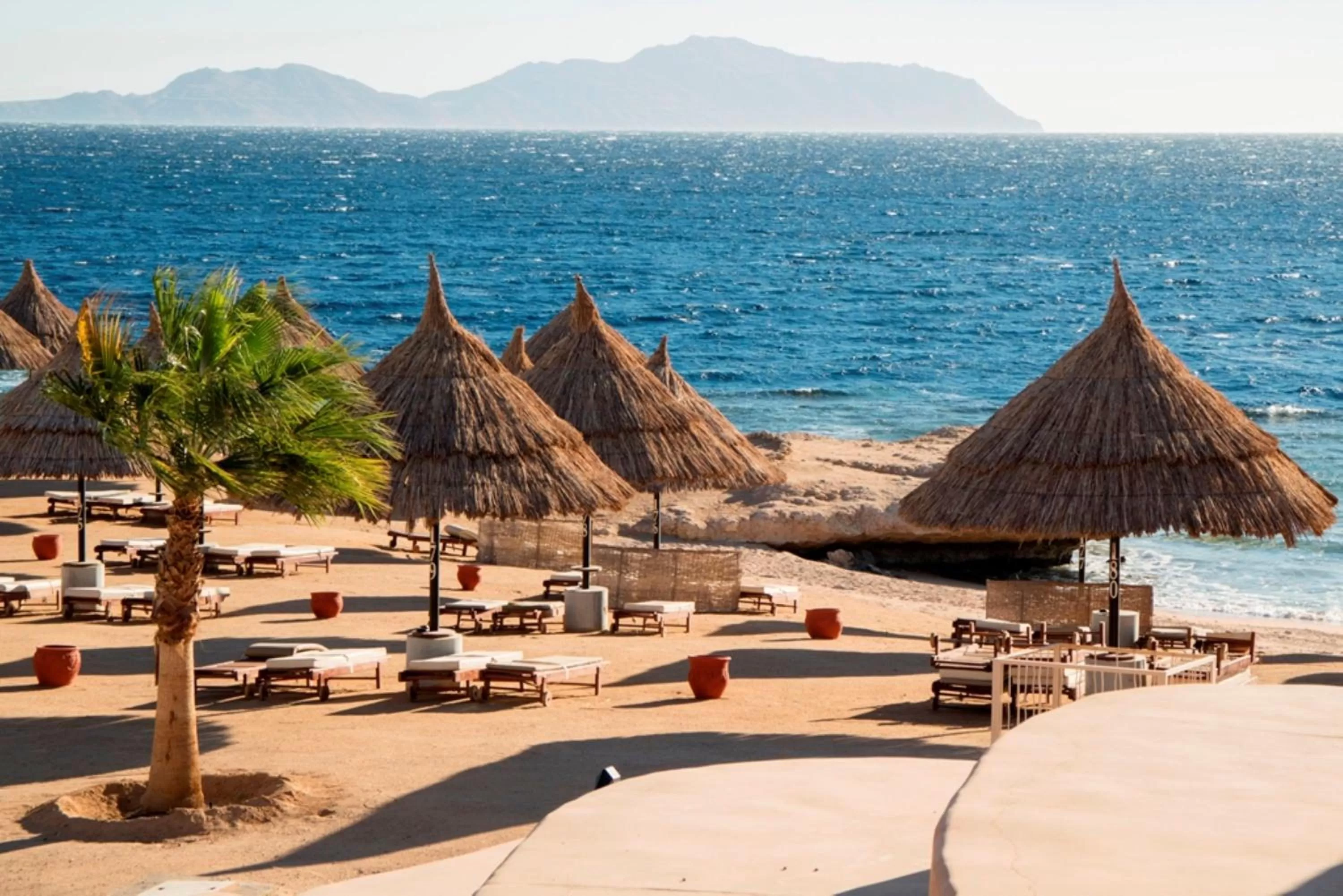 Beach in Sheraton Sharm Hotel, Resort, Villas & Spa
