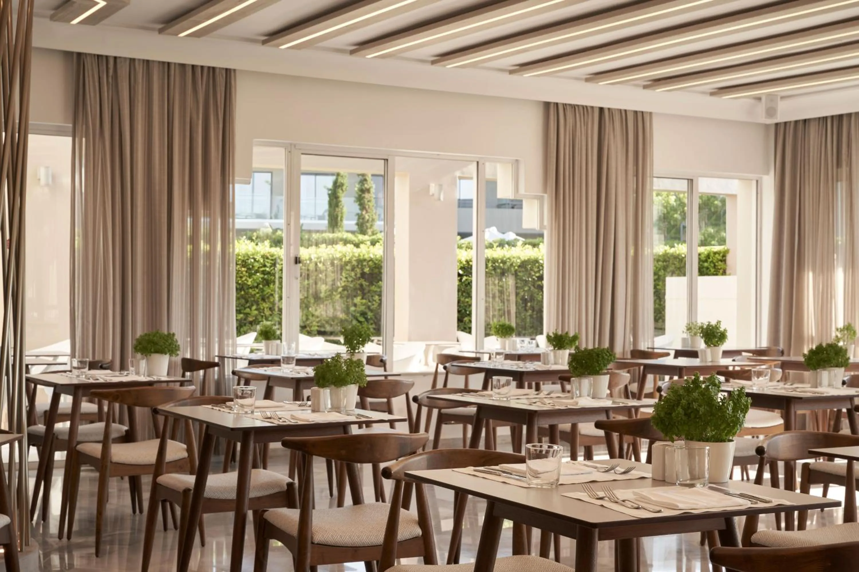 Restaurant/places to eat in Atlantica Amalthia Beach Hotel - Adults Only