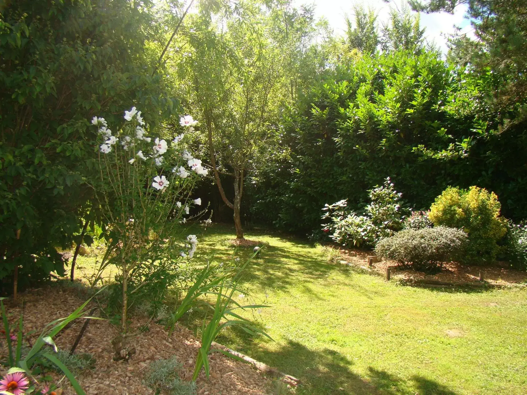 Garden in la Grange de Félicie