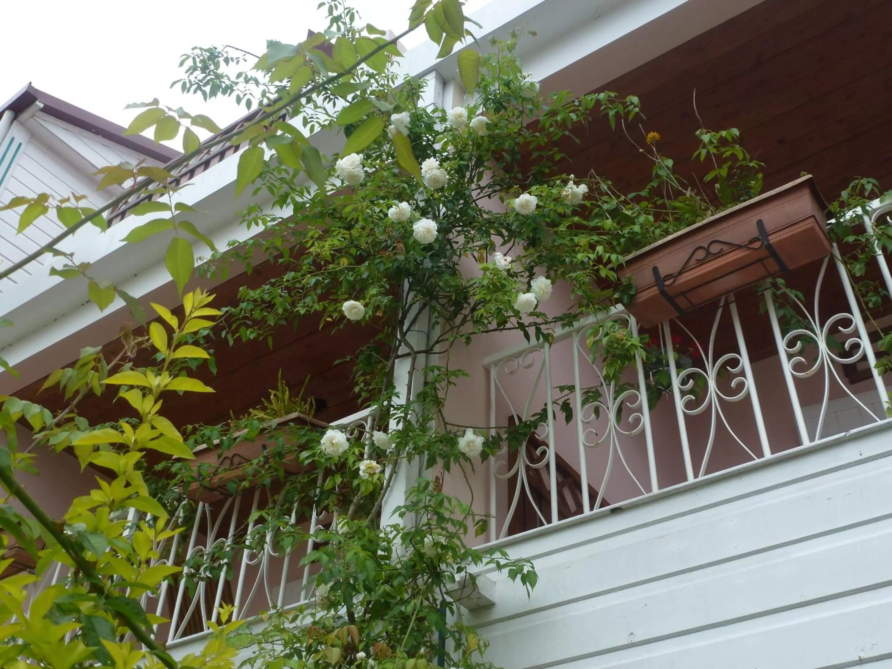 Facade/entrance in Hotel Des Neiges