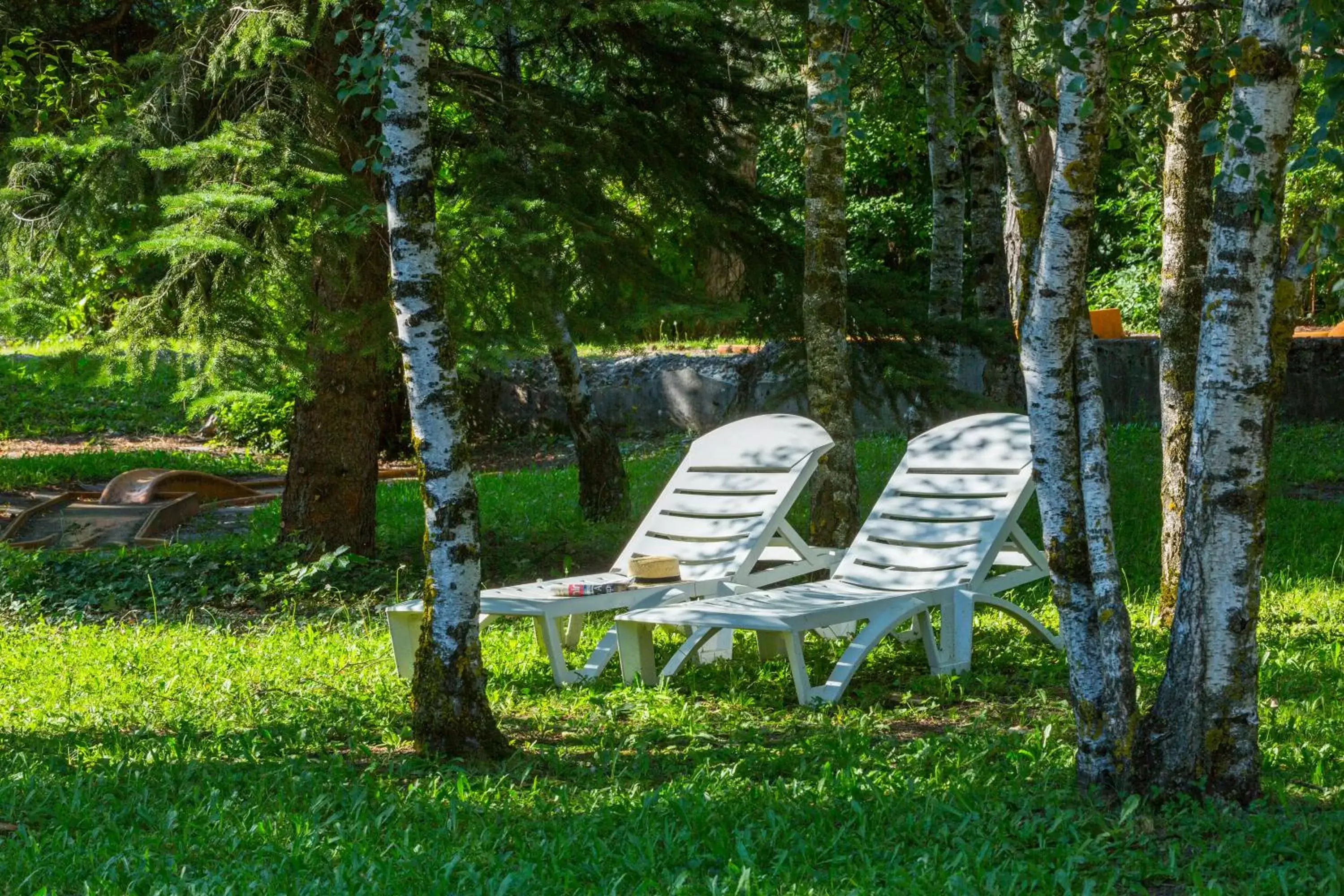 Garden in Hotel Restaurant Le Carina