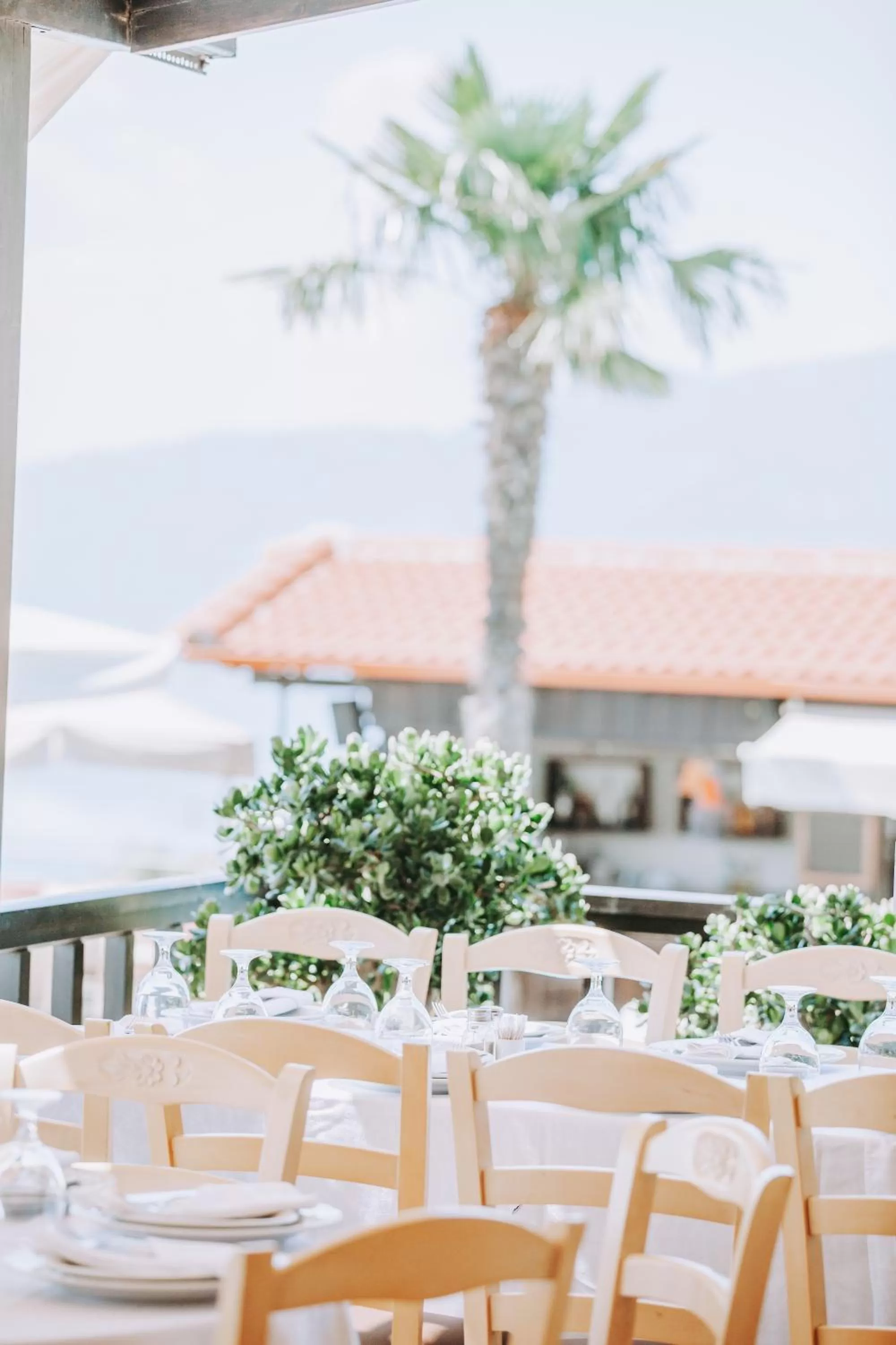 Restaurant/places to eat in Althaia Hotel