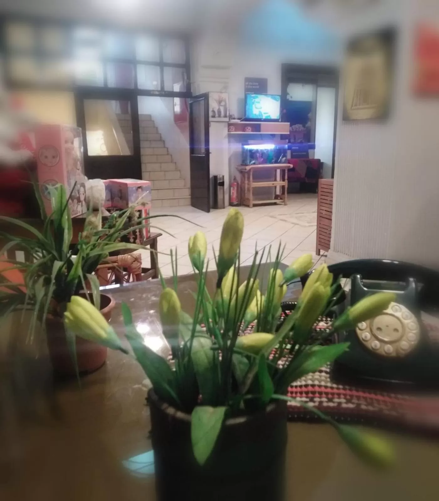 Lobby or reception in New Park Hotel