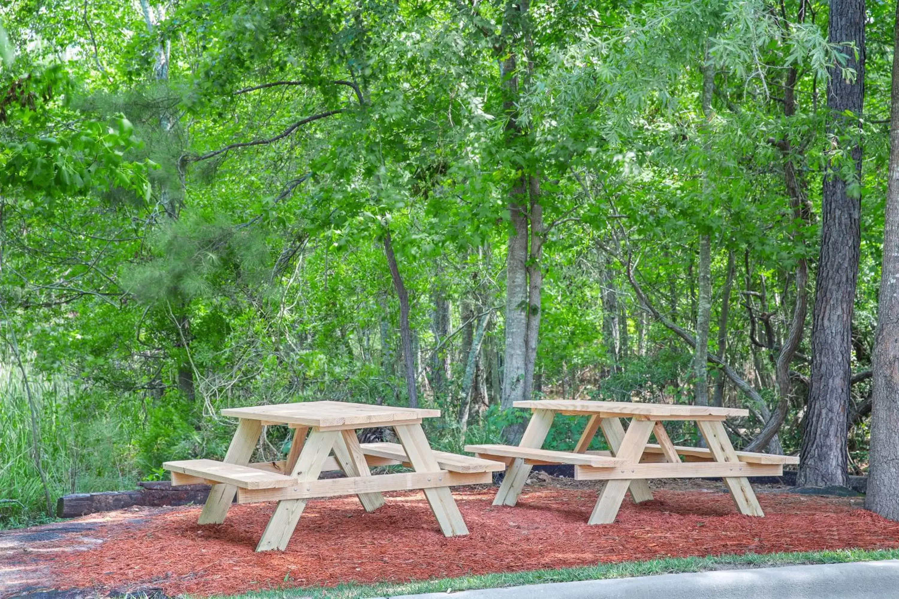 Lobby or reception, Garden in Holiday Inn Express & Suites - Hardeeville-Hilton Head, an IHG Hotel