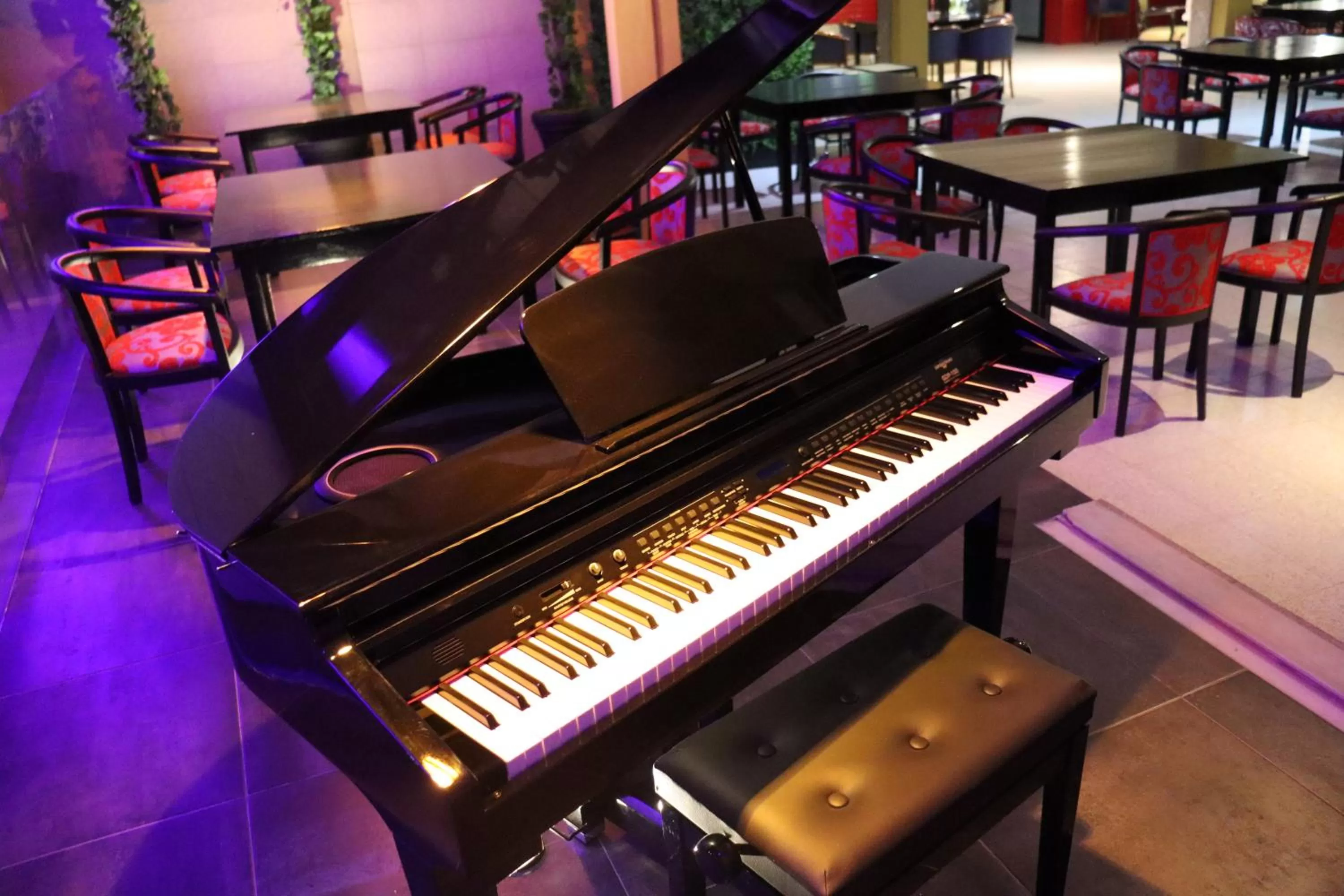 Leonchic - Guest House