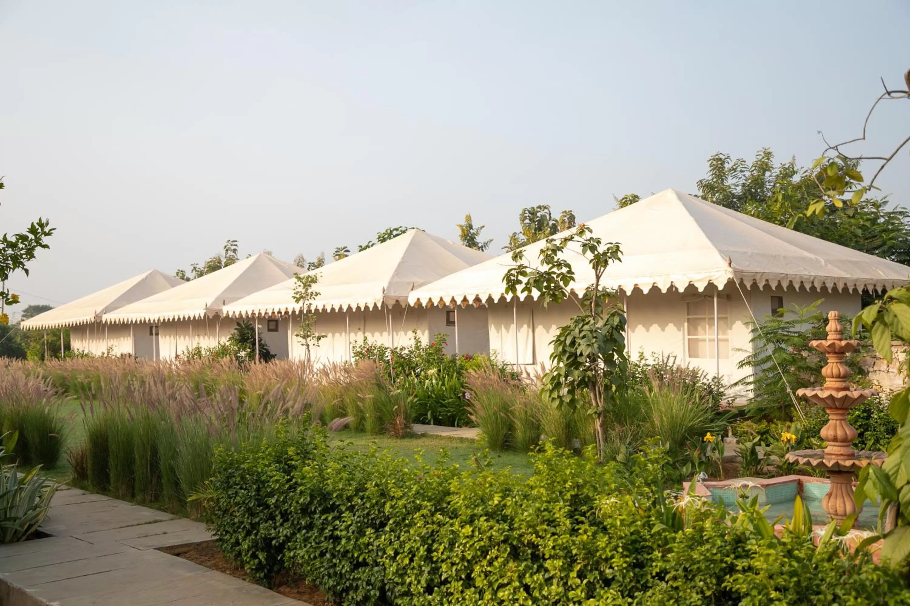 Garden in Madho Bagh