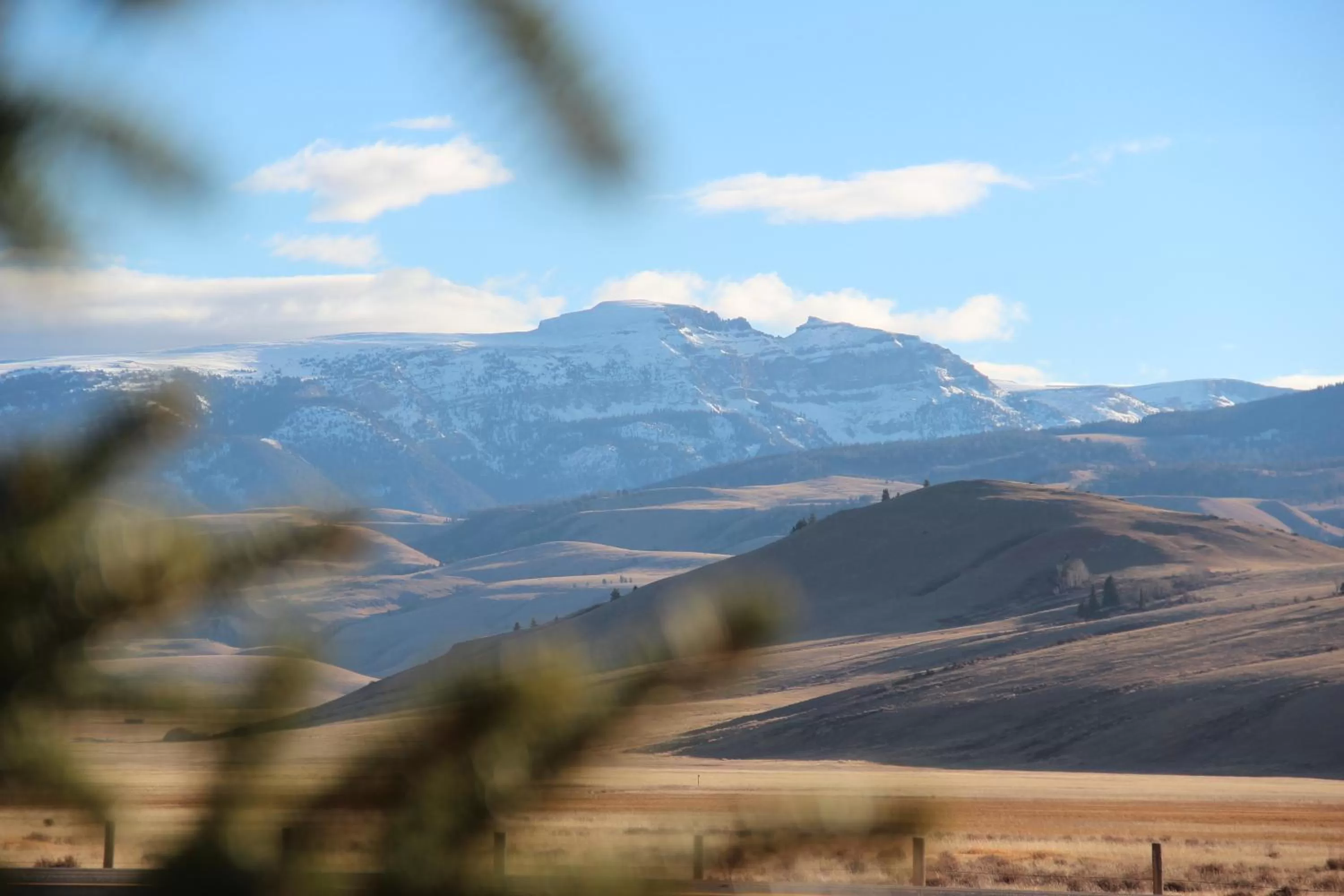 Area and facilities in Flat Creek Inn