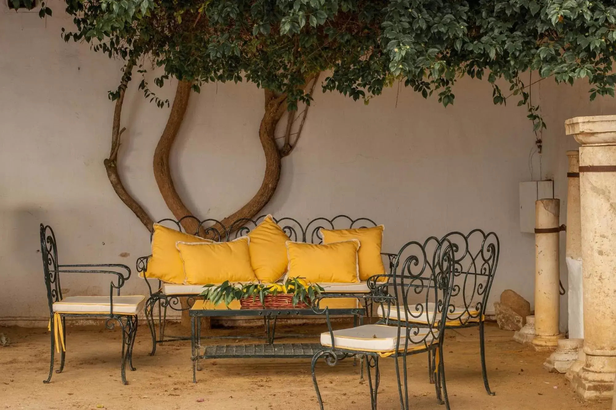 Garden, Seating Area in Monasterio de San Francisco