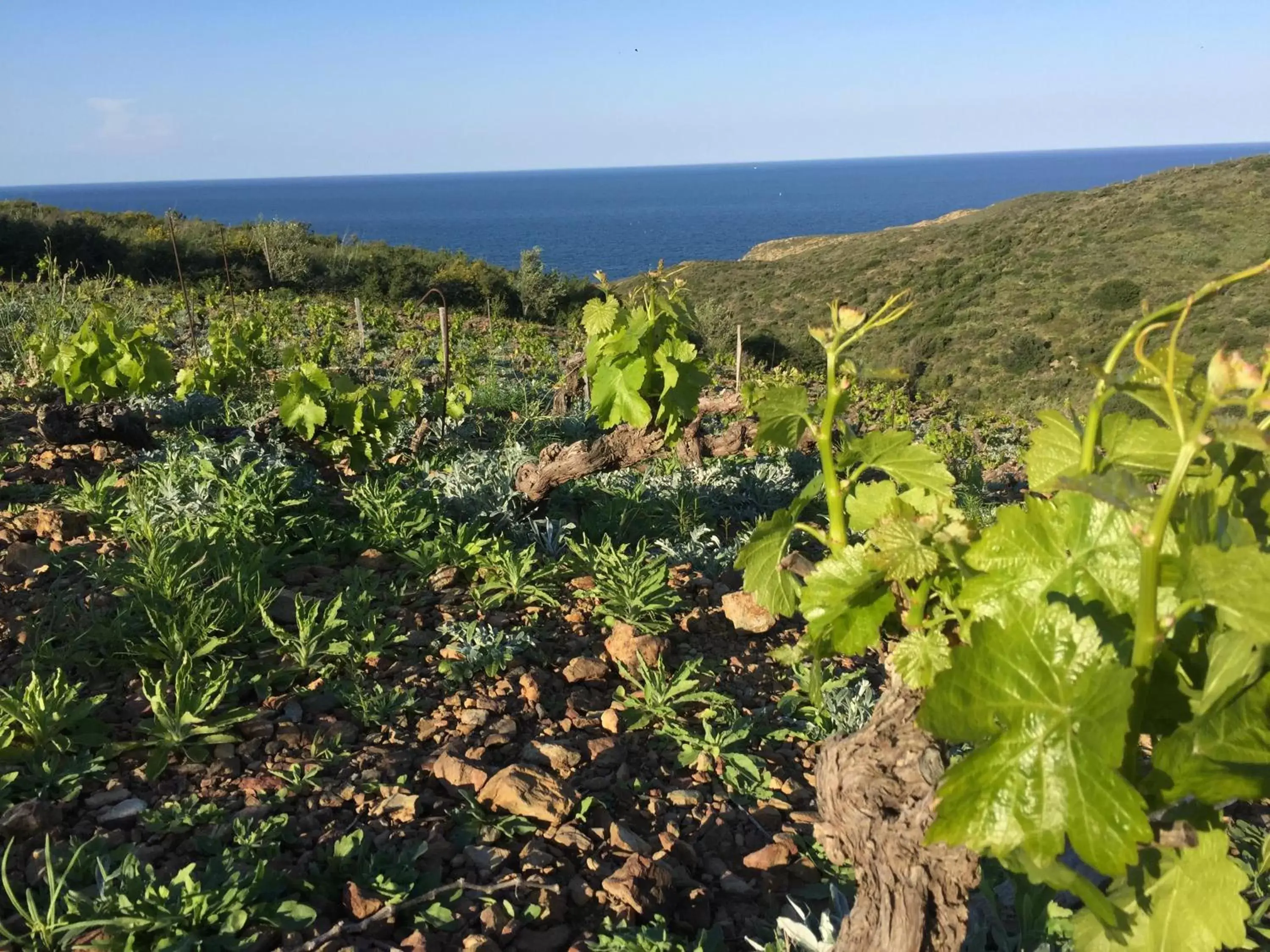 Mountain view in Le Clos Saint André