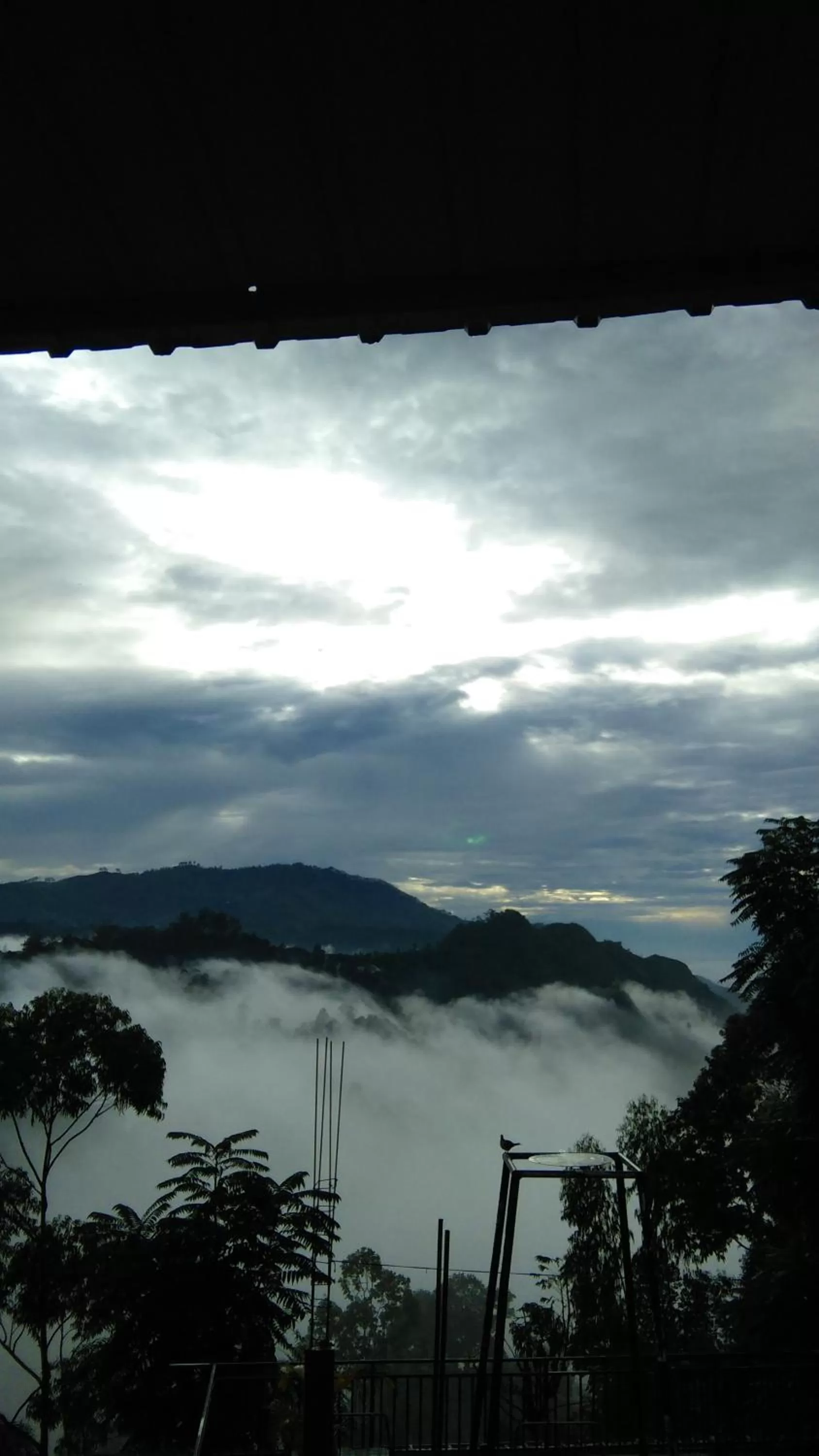 Maple home stay and cottage