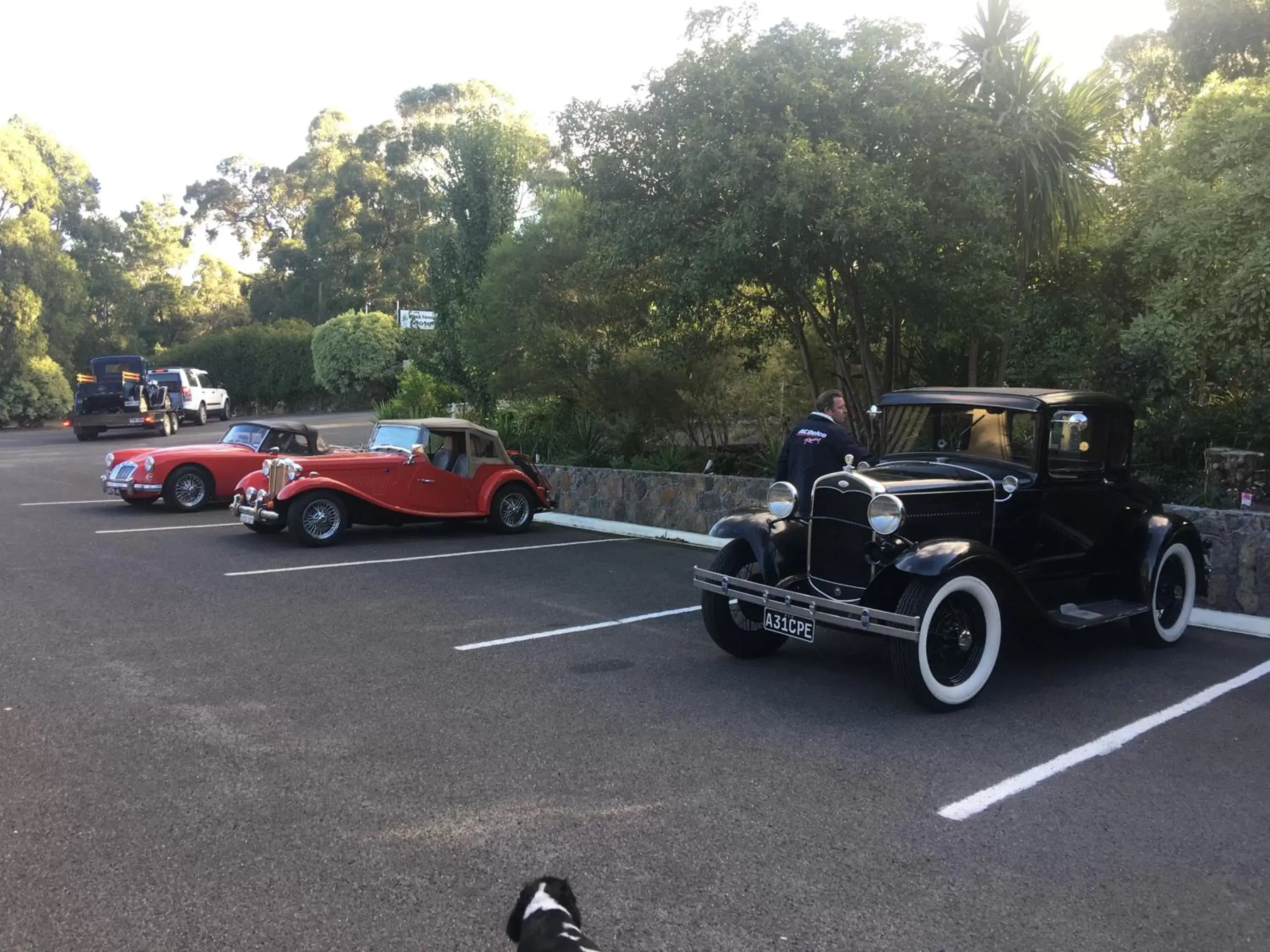 Property building in Black Forest Motel Property building in Black Forest Motel
