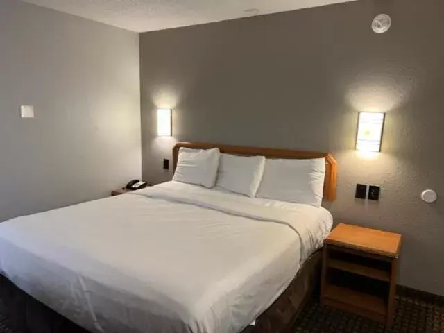 Bedroom, Bed in Motel 6 Portland, OR Southeast