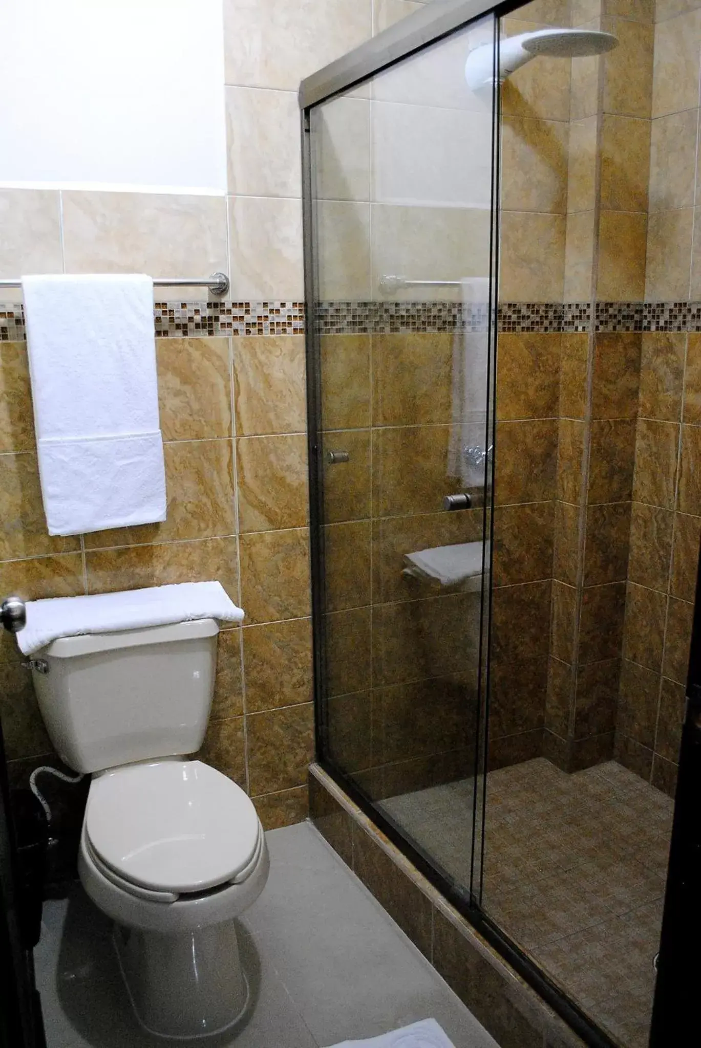 Shower, Bathroom in Gran Hotel Residencial Galerias